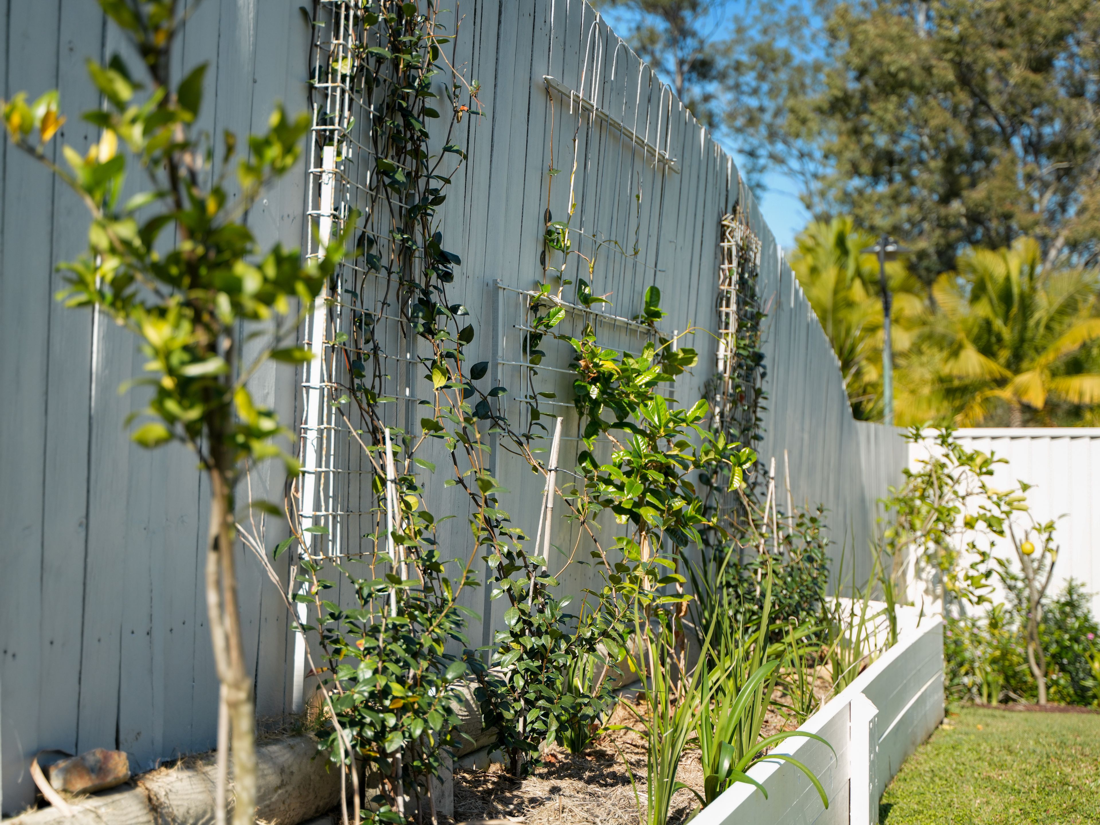 40 Hawkes Avenue — photo 17 of 19