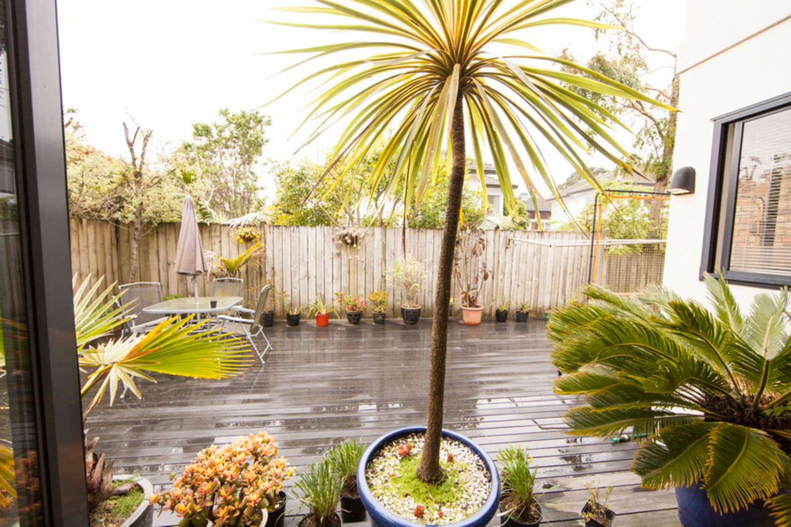 138 Gillies Avenue, Epsom, Auckland City