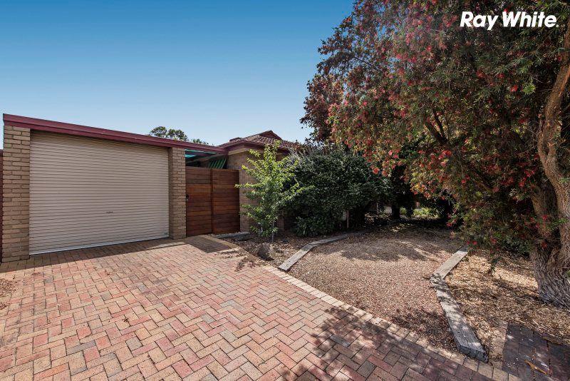 59 Michael Street, Scoresby, VIC 3179