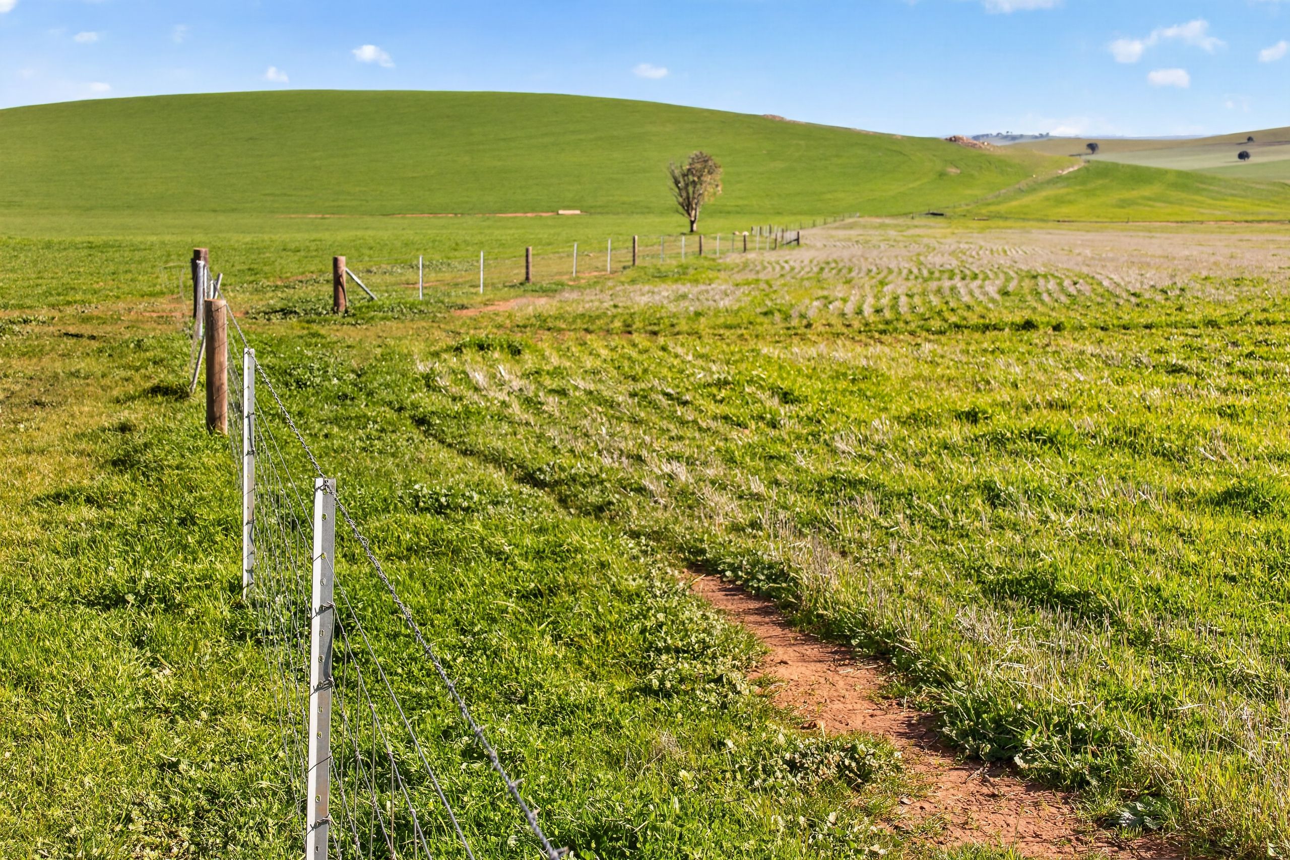 'Eudunda Hill' Thiele Highway — photo 8 of 30