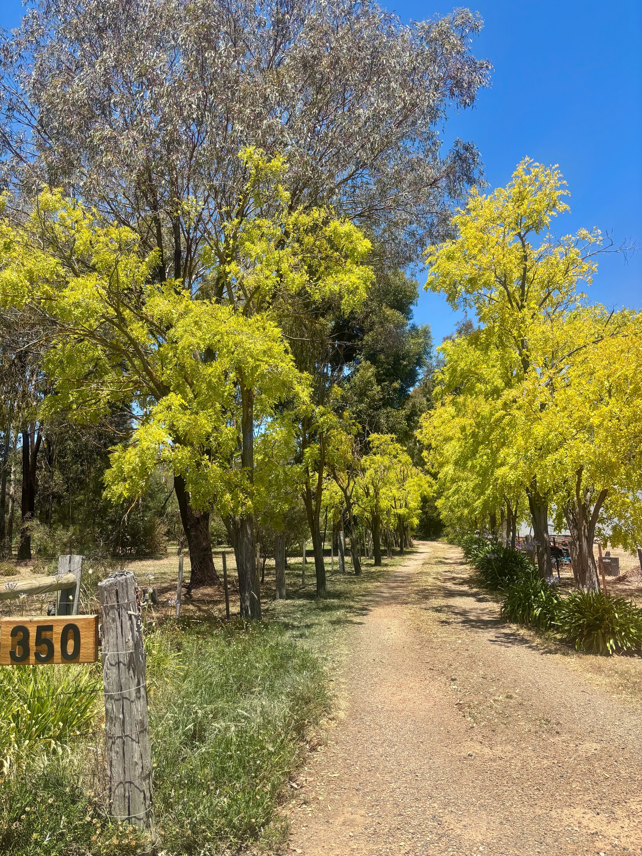 350 River Road, Murchison North, VIC 3610