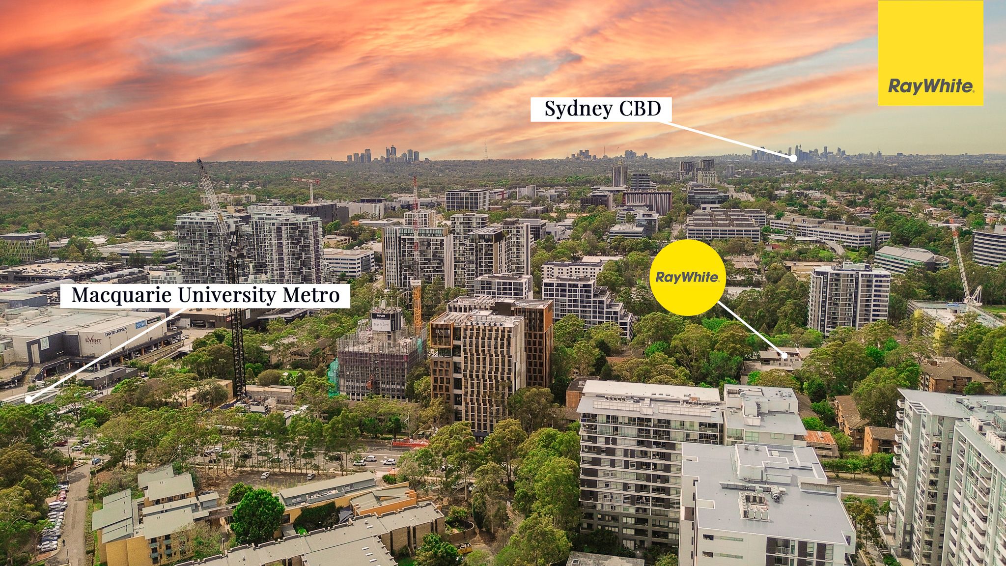 20/1-3 Cottonwood Crescent, Macquarie Park, NSW 2113