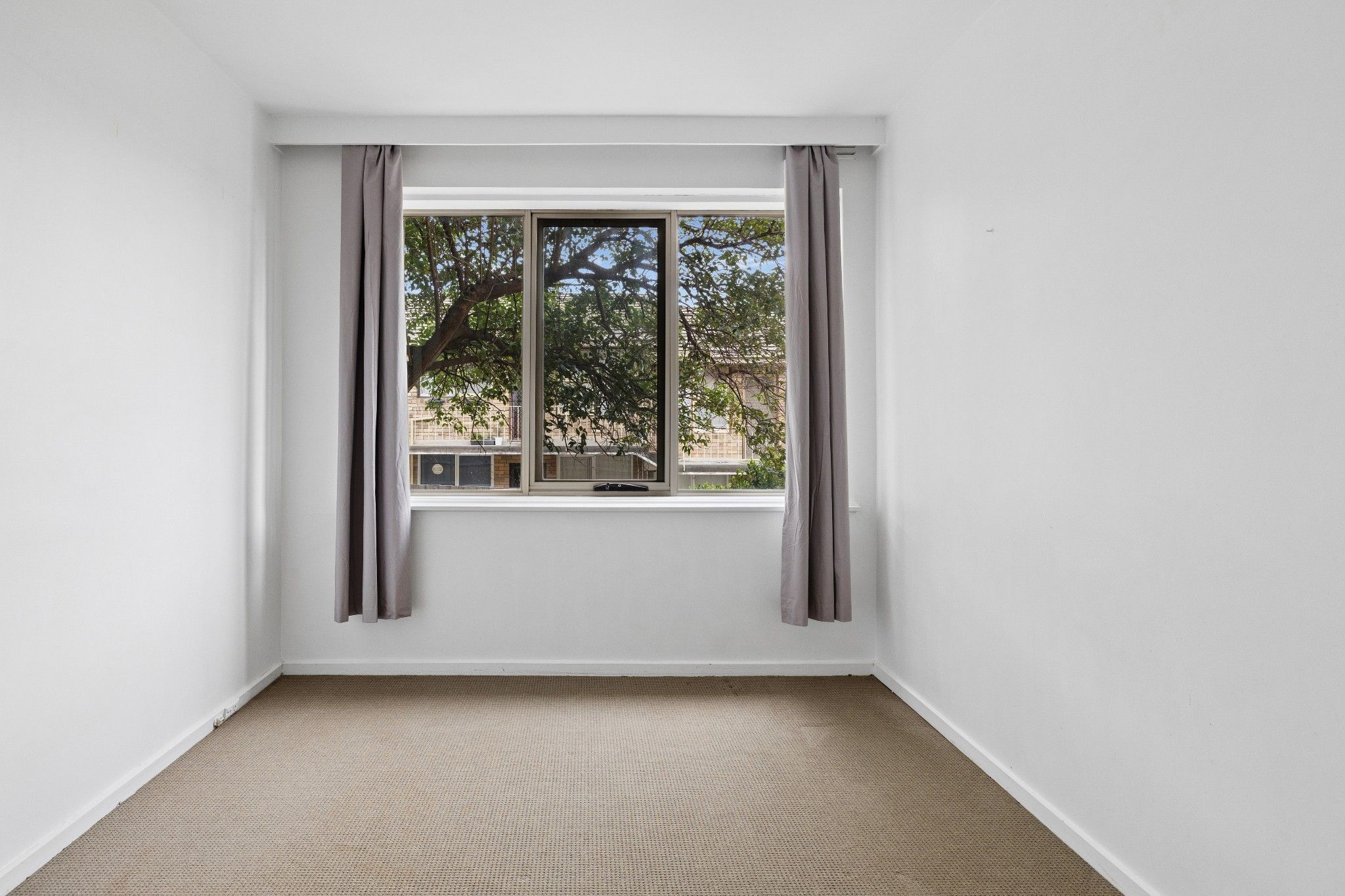 4/446 Albion Street — photo 7 of 11