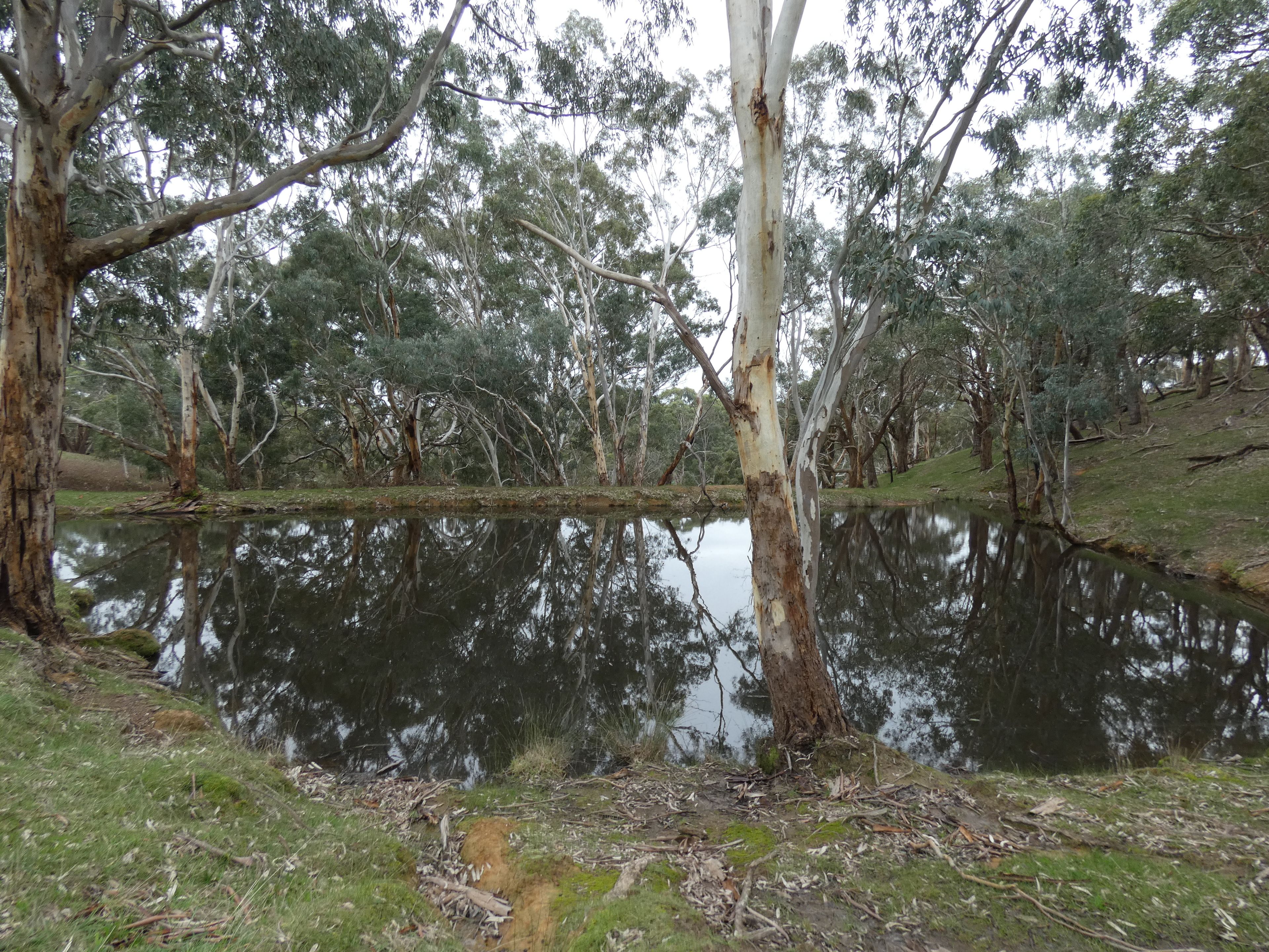 Lot 53 Harvey Road, Prospect Hill, SA 5201