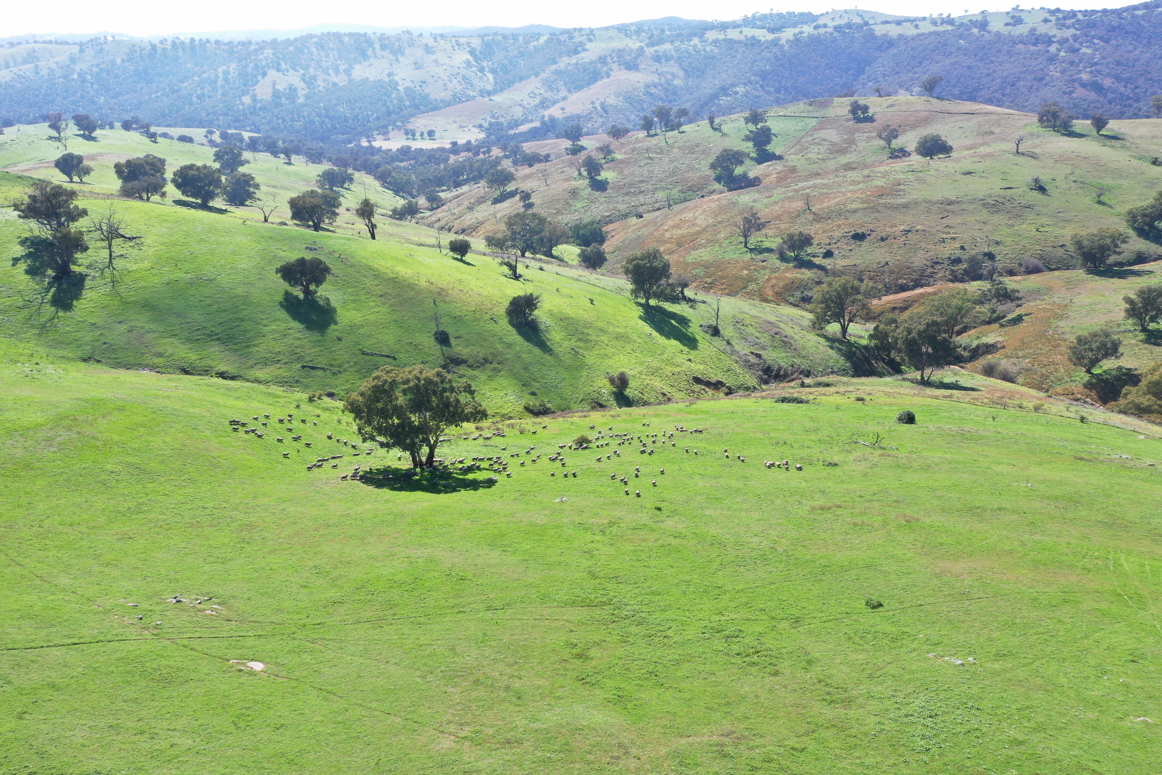Blackmans Creek Road, Bigga Via Crookwell, Crookwell, NSW 2583