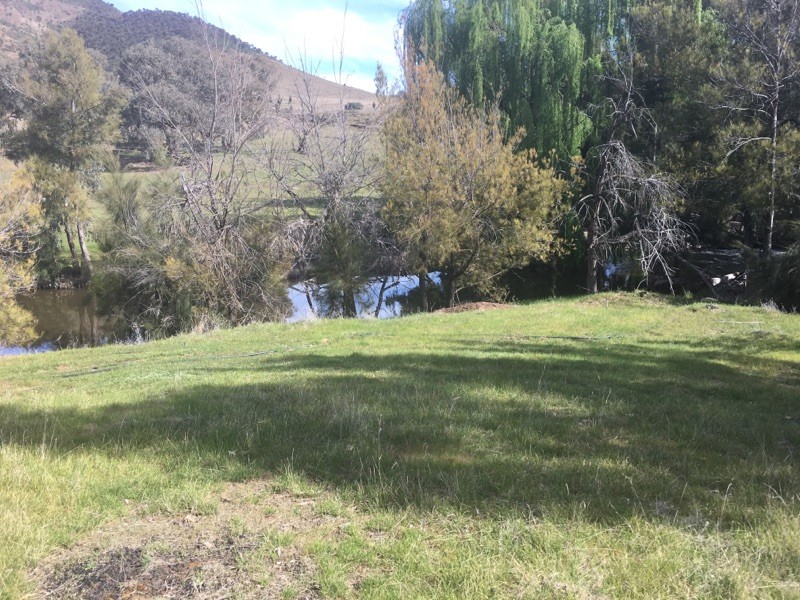 368 Kangaroo Mount Road, Coolac, NSW 2727
