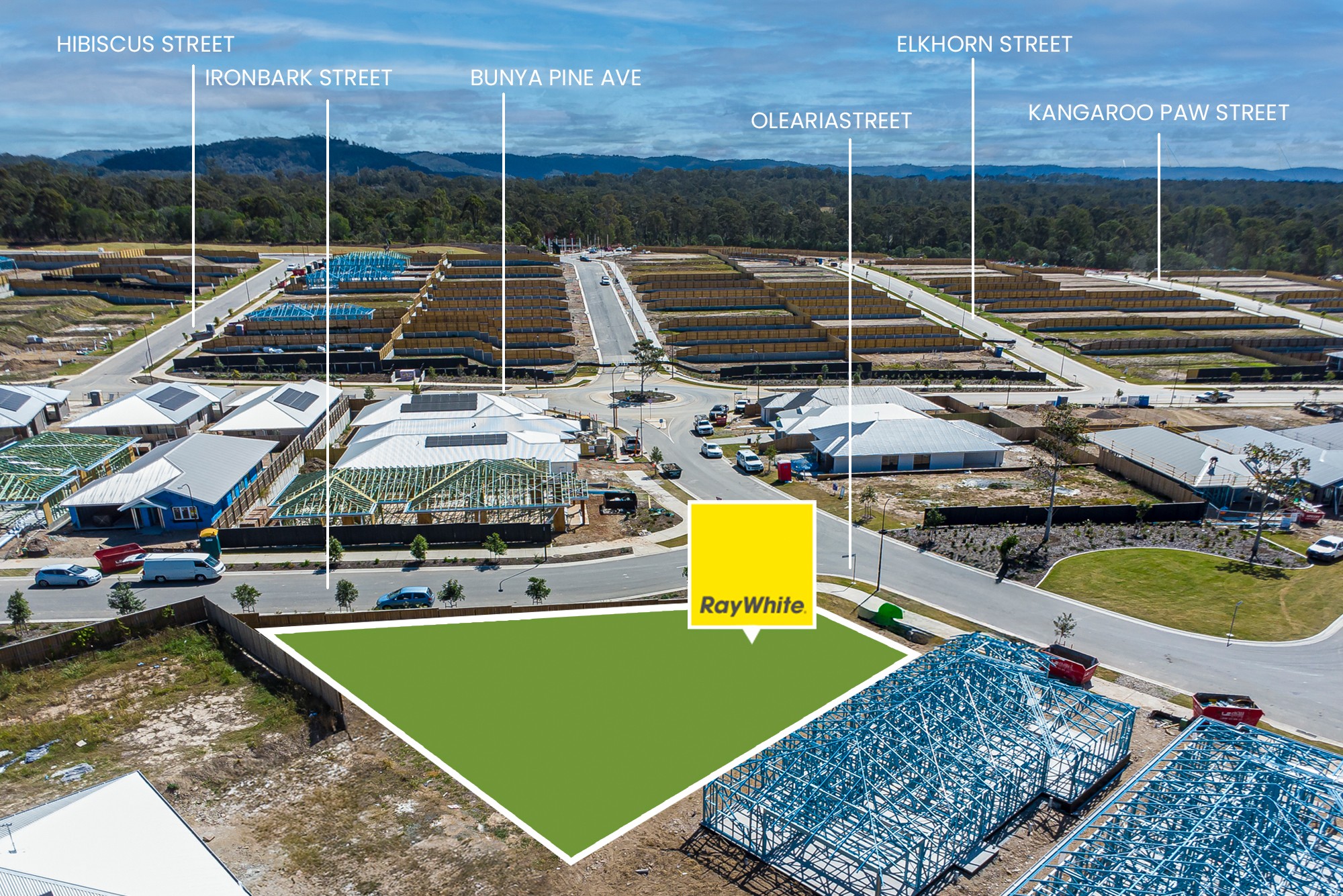 32 Olearia Street, Morayfield, QLD 4506