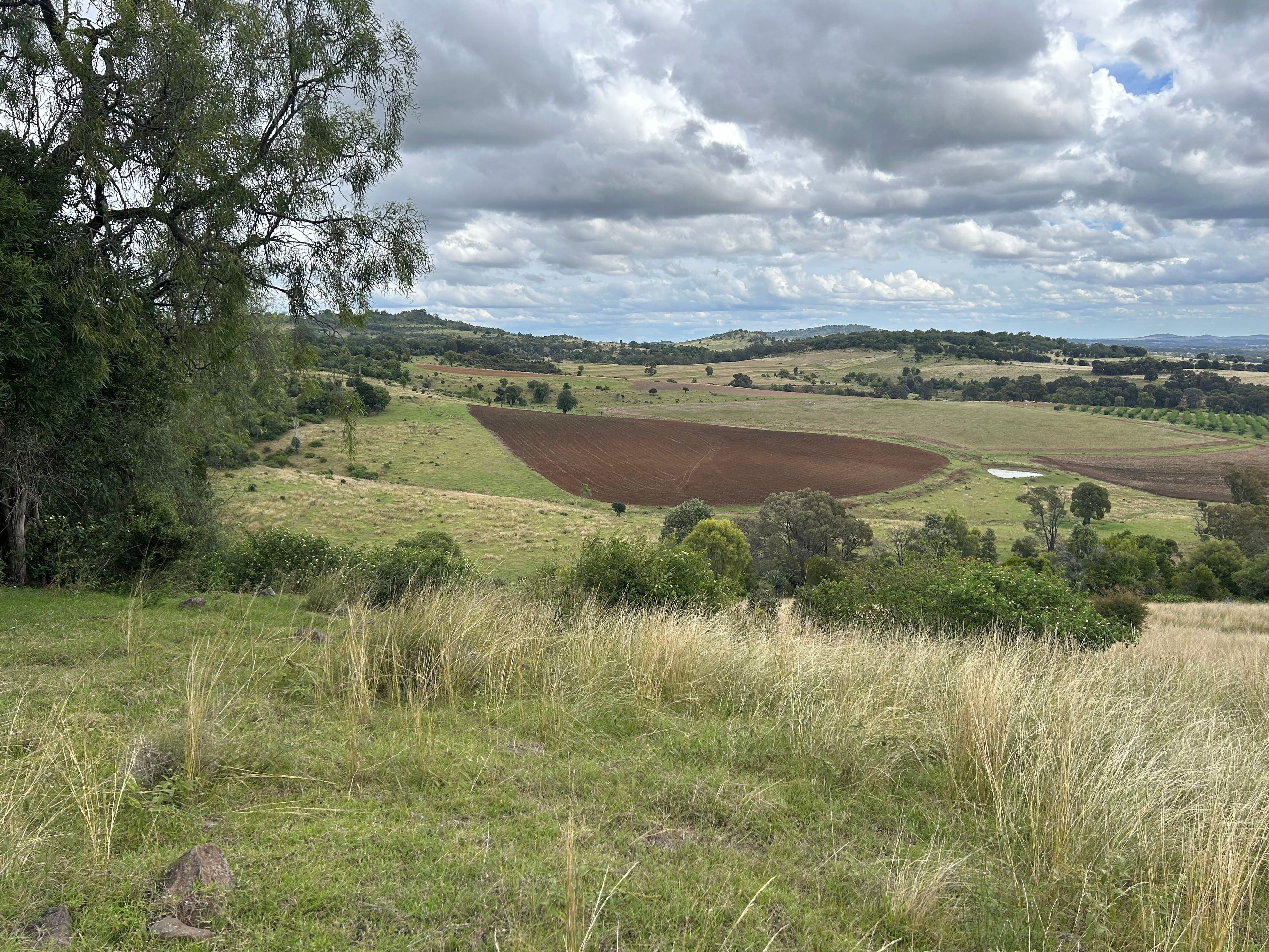Lot 46 Bunya Mountains Maclagan Road, Rangemore, QLD 4352 Rural