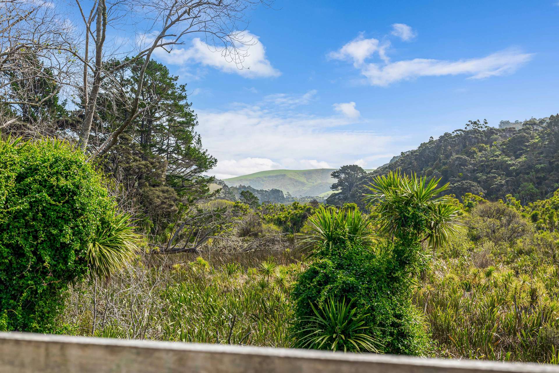 131 Bethells Road photo 9