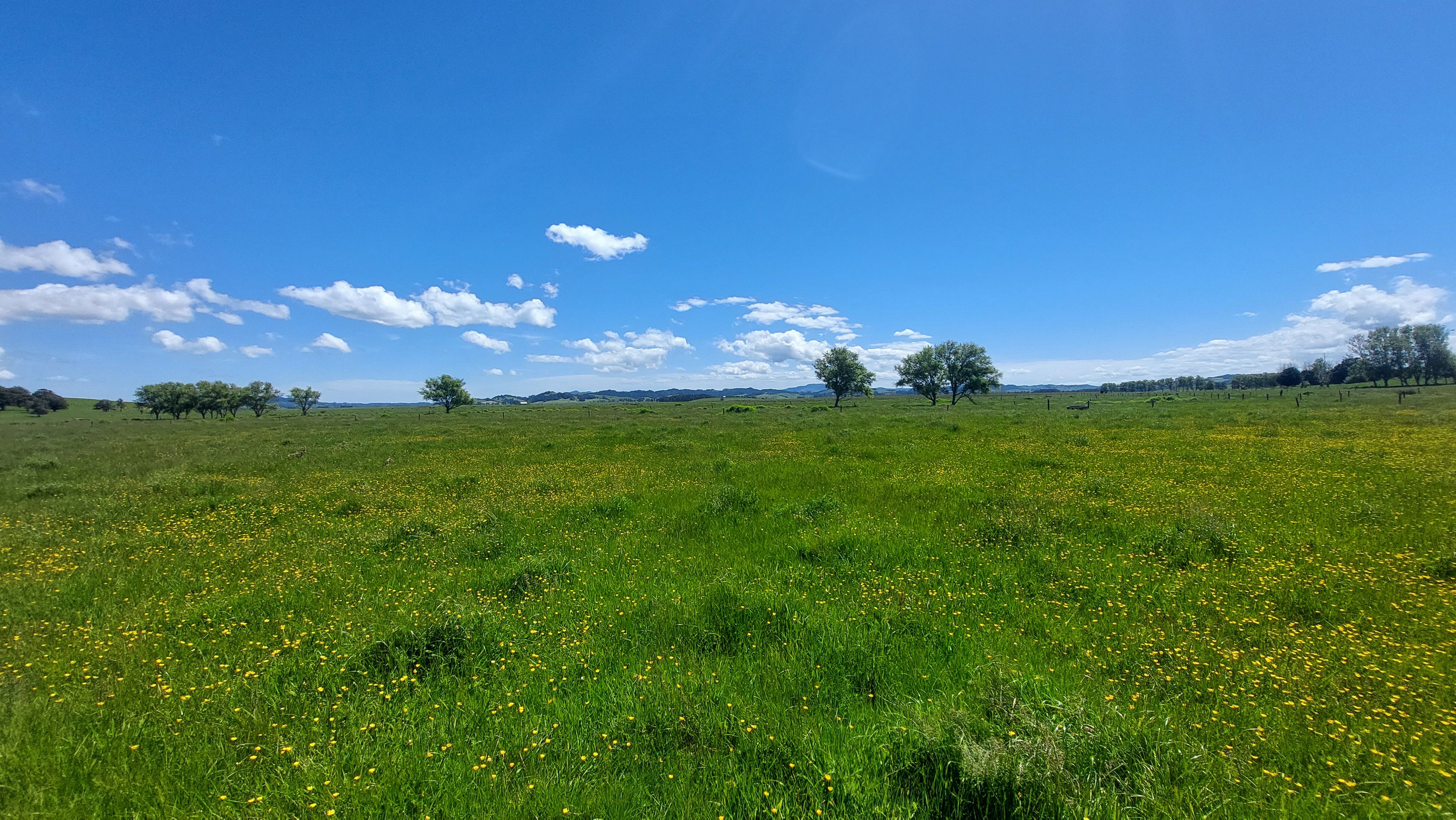 111 Corbett Road, Hikurangi, Whangarei District 0114 Rural Grazing