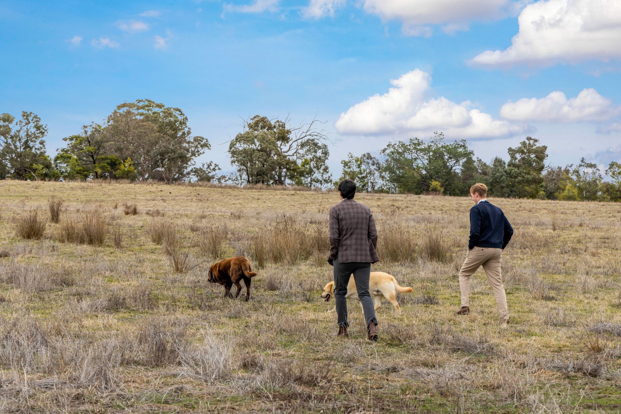 10 Ryslipp Drive, Murrumbateman, NSW 2582