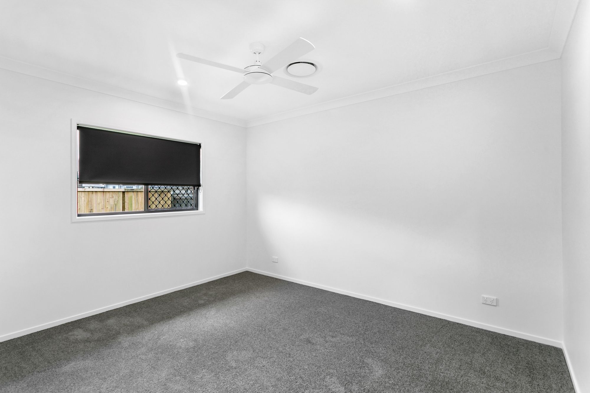 24 Stafford Street — photo 7 of 11