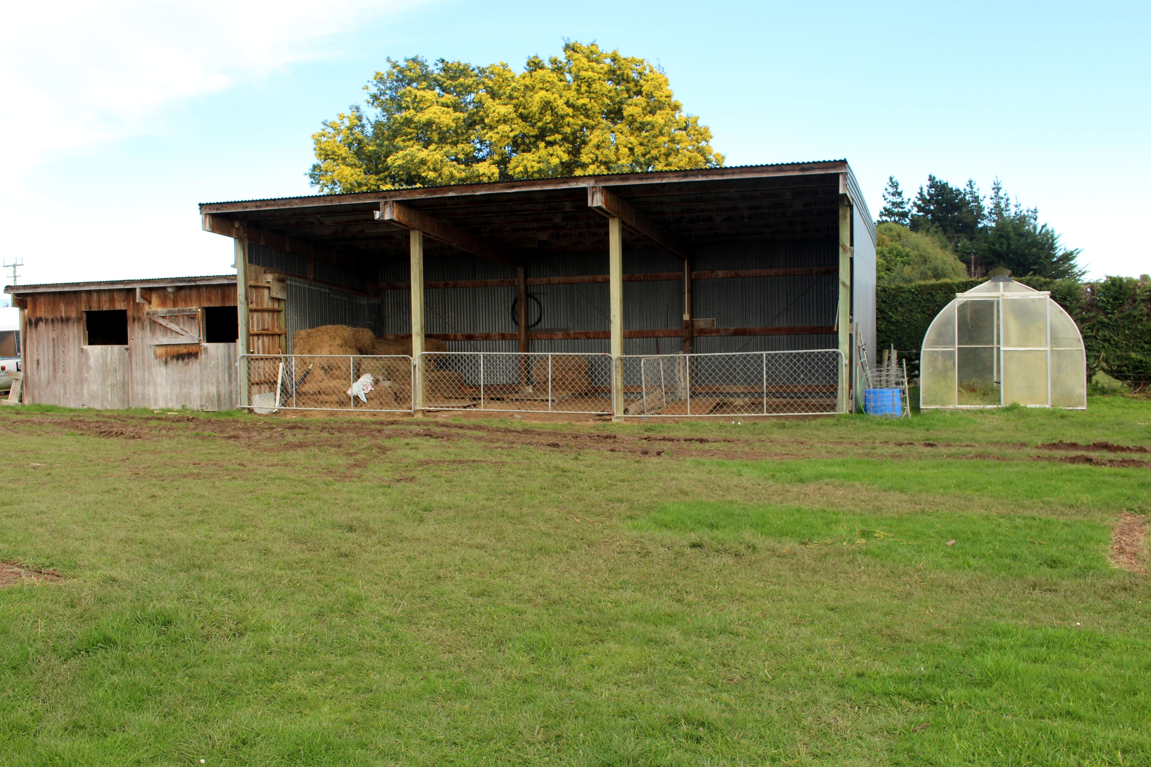 244 West Plains Road, West Plains, Invercargill