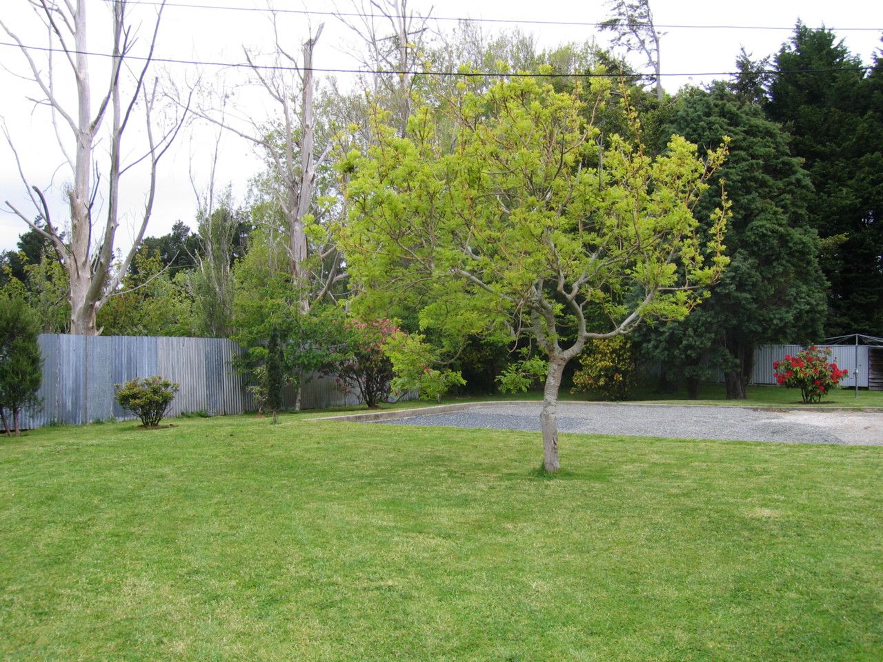 Tisbury, Invercargill