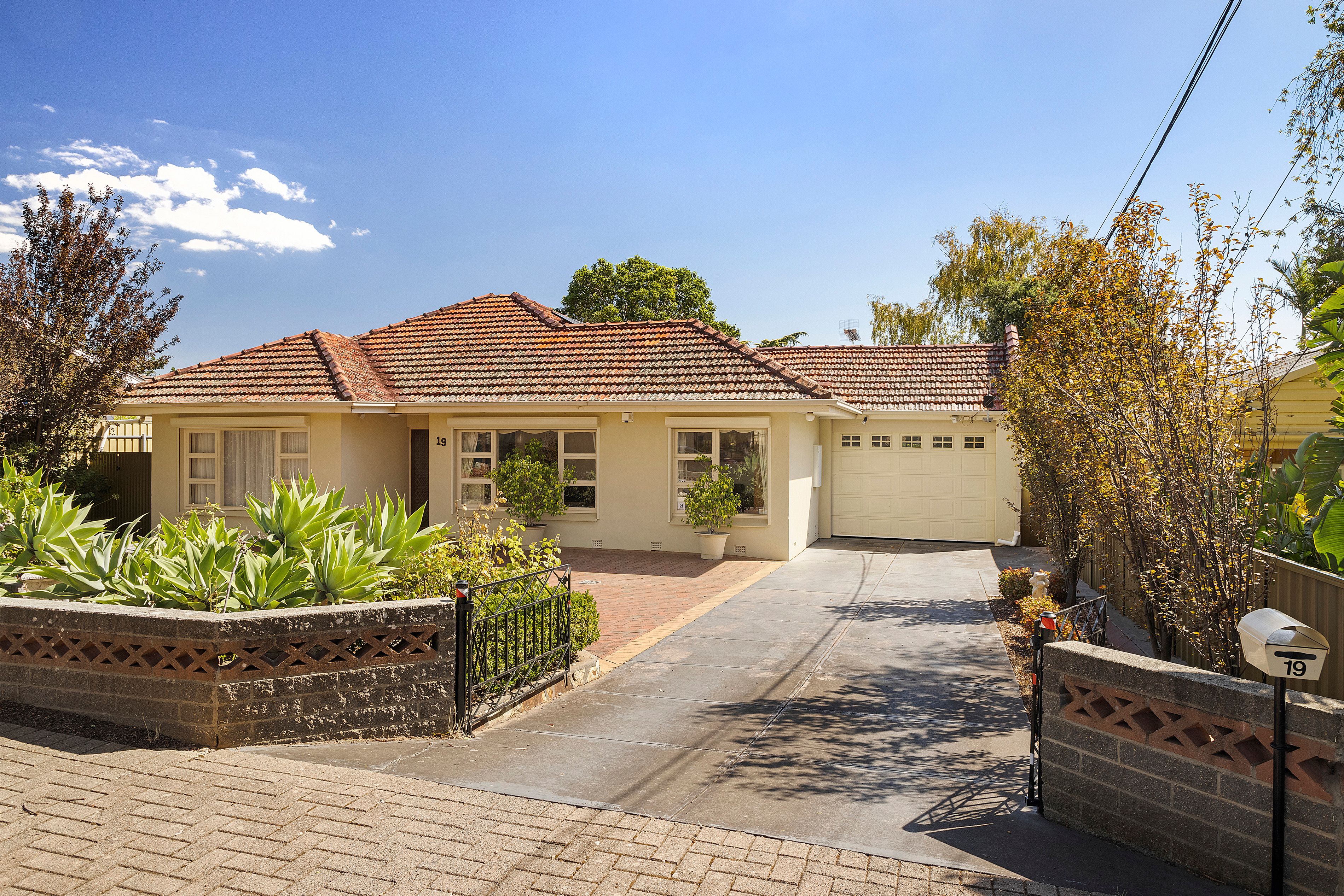19 Edgcumbe Terrace, Rosslyn Park, SA 5072