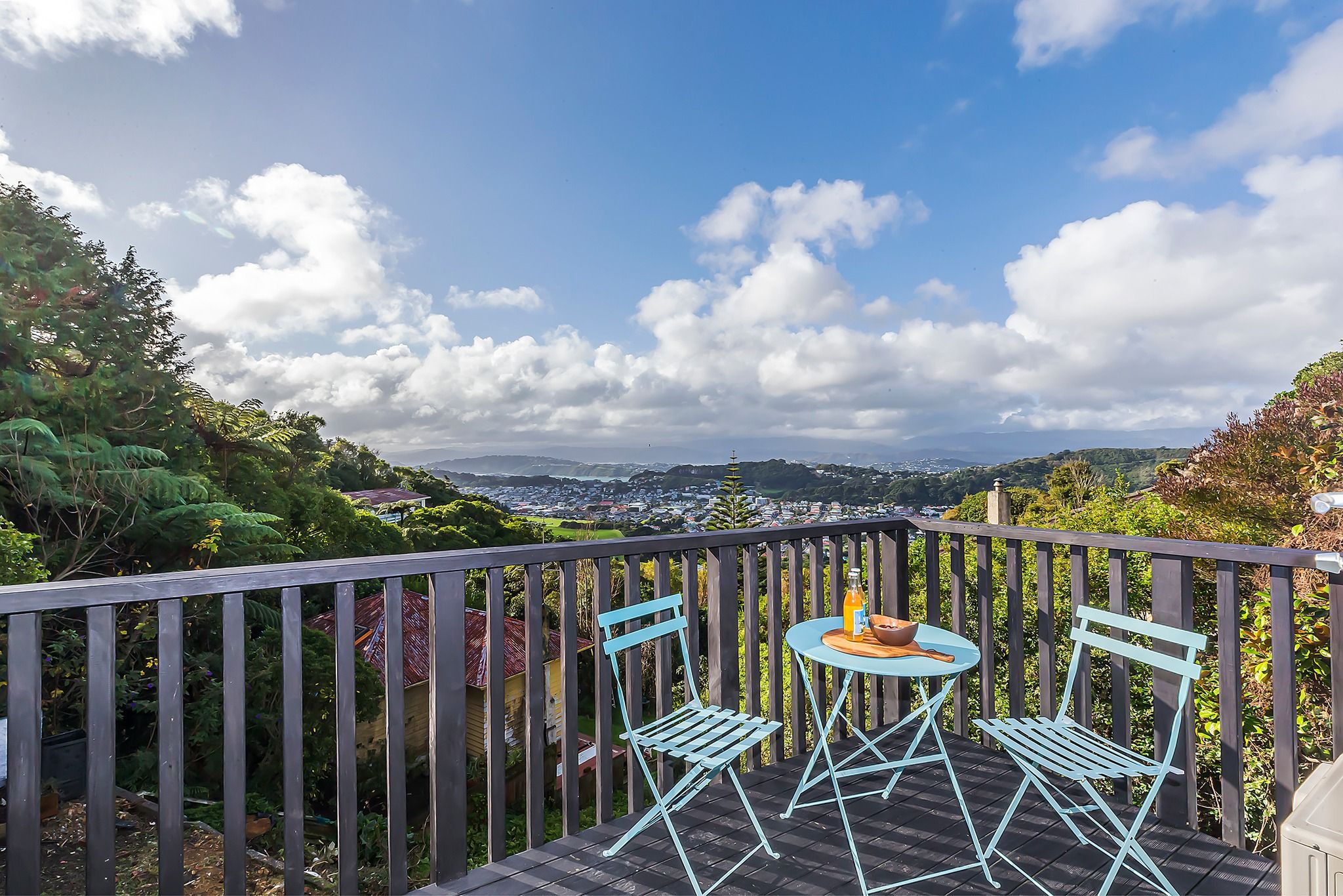 175 The Ridgeway, Kingston, Wellington City