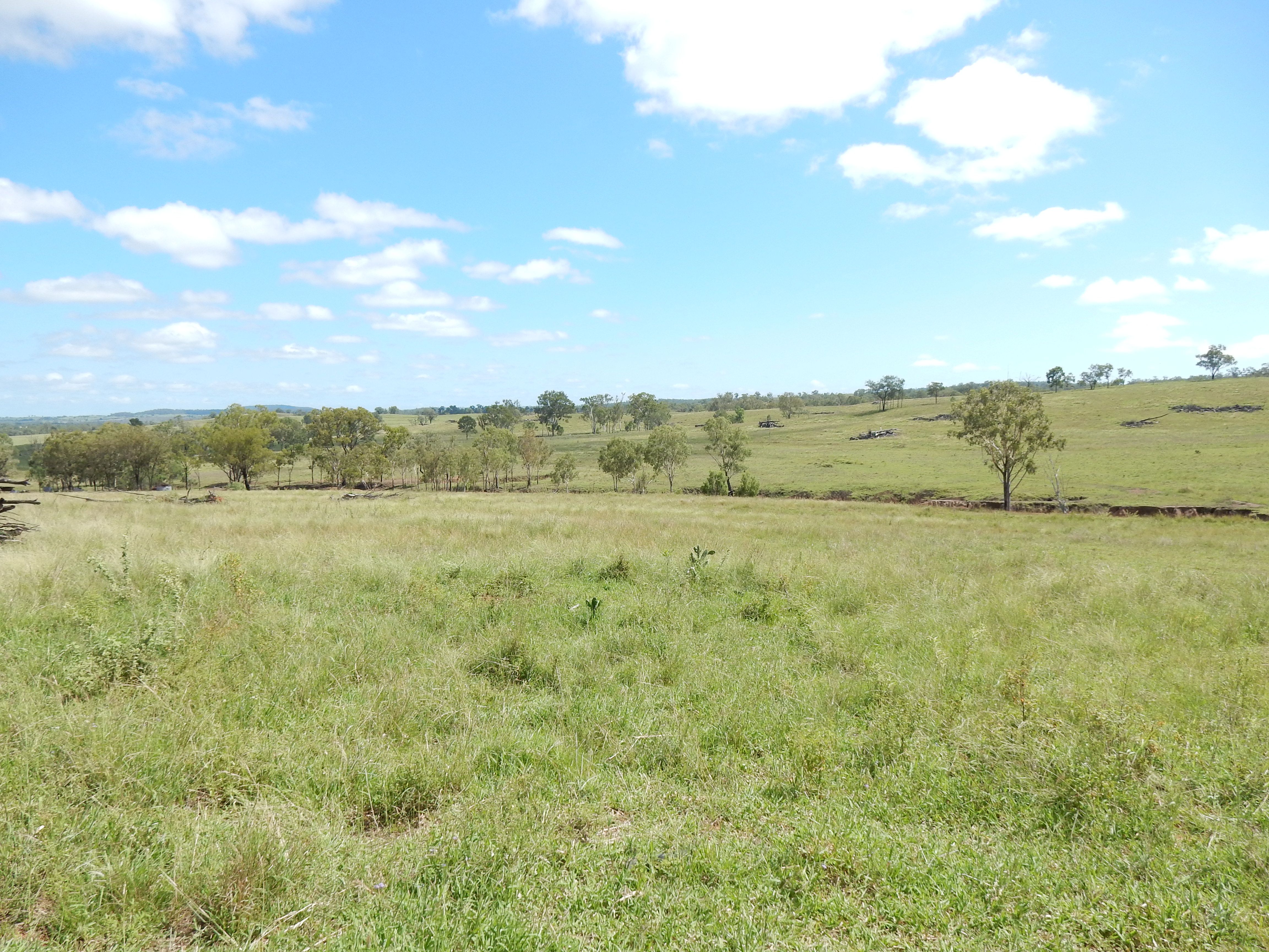 95 Monto Mount Perry Road, Tellebang, QLD 4630 Rural Property for Sale Ray White Biloela