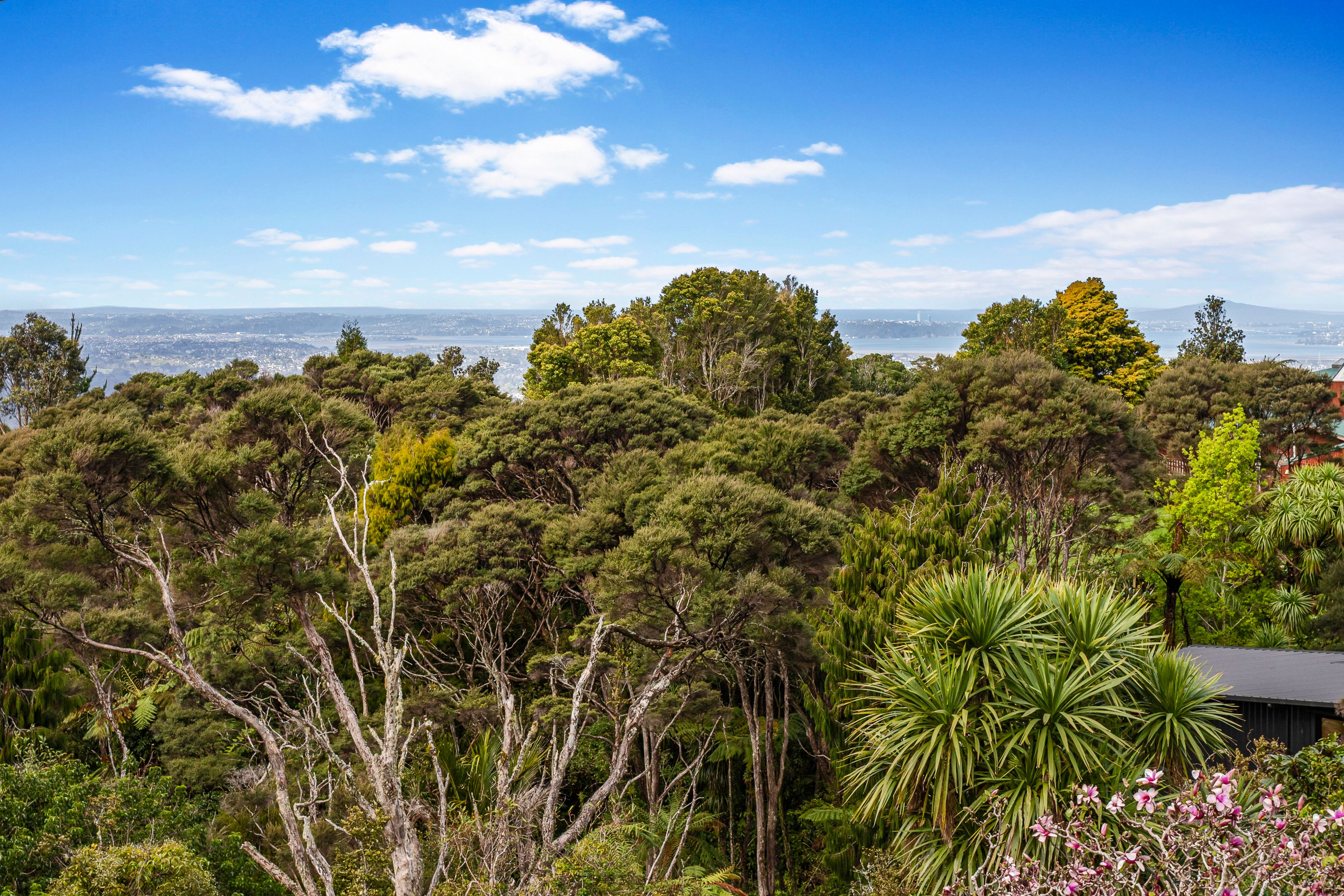 41 Turanga Road, Henderson Valley, Waitakere City