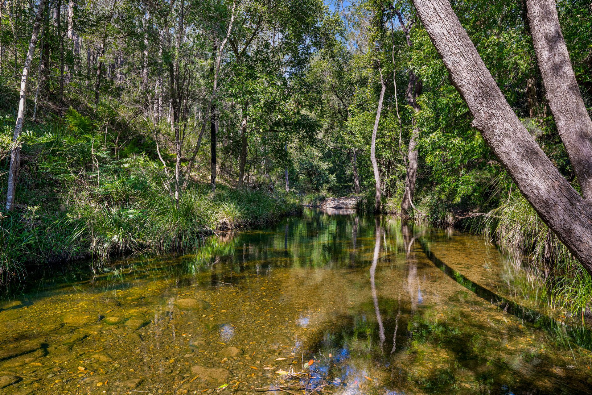 Peaceful Off-Grid Escape Along Amamoor Creek — photo 11 of 16
