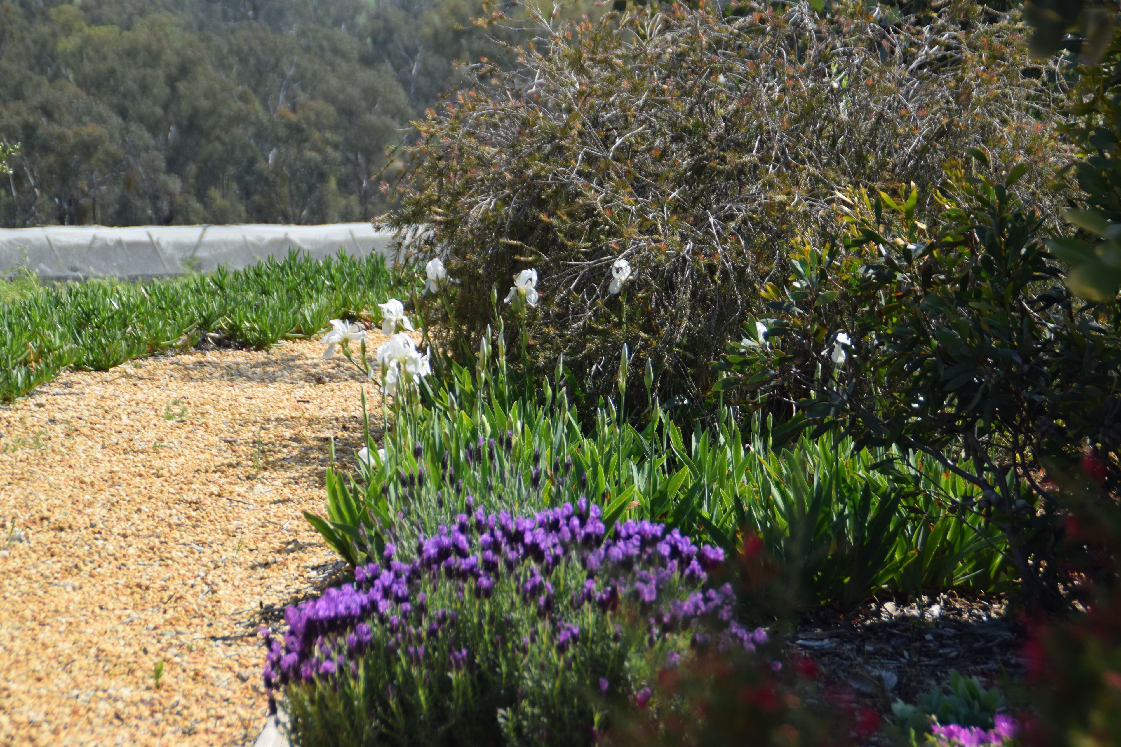 'Cucciata' 532 Curra Creek Road — photo 16 of 30