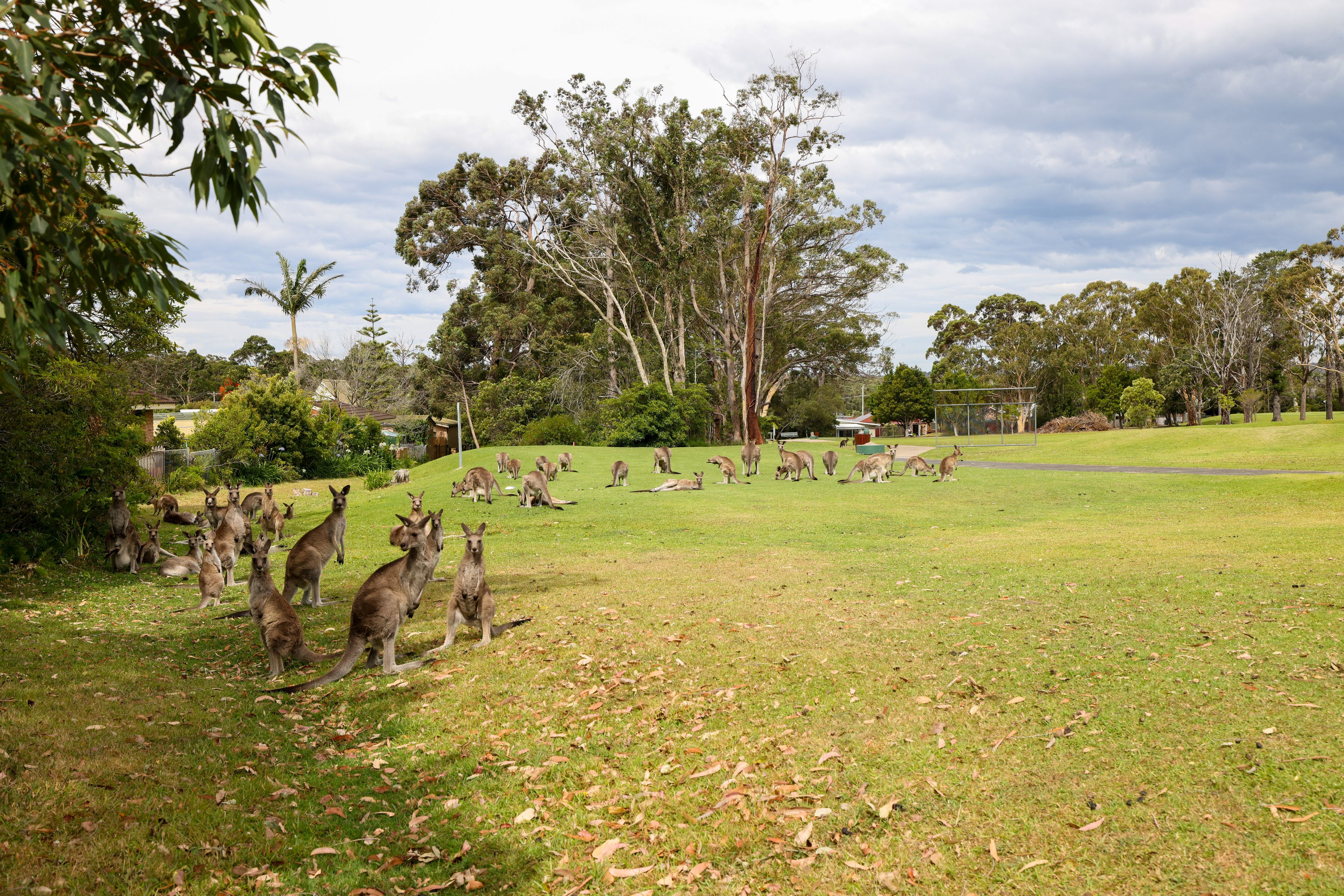 170 The Park Drive, Sanctuary Point, NSW