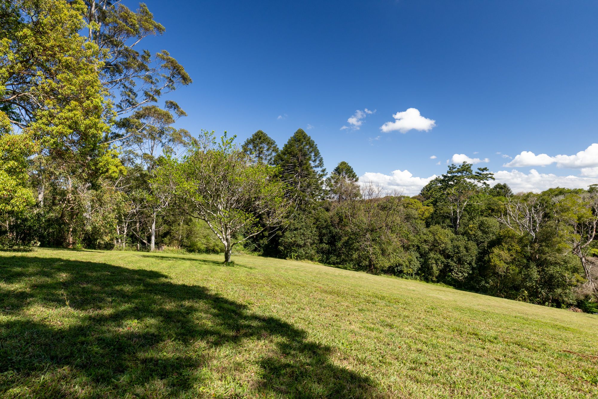9 Vale End — photo 4 of 20