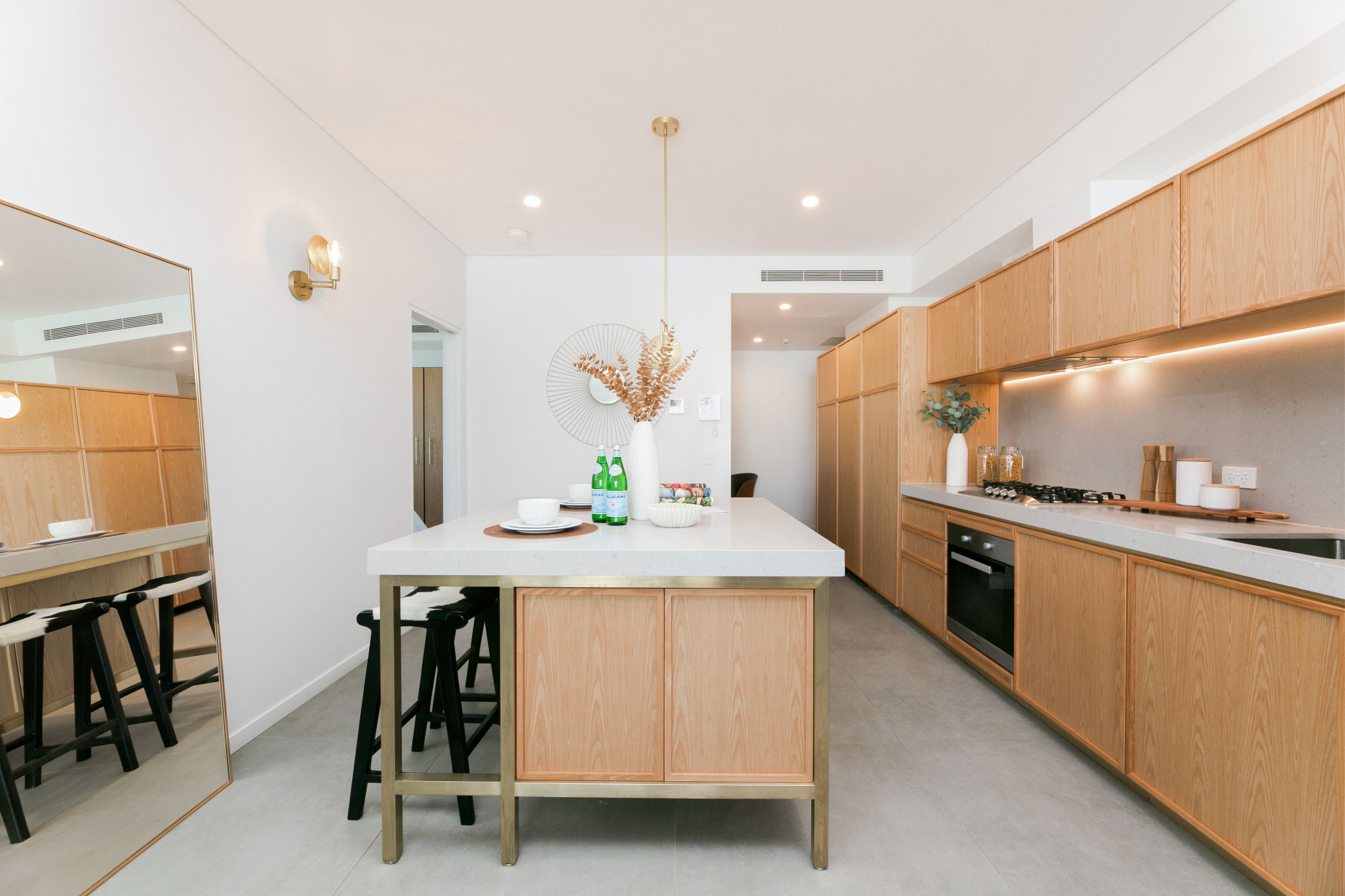 311/836 Elizabeth Street, Waterloo, NSW 2017