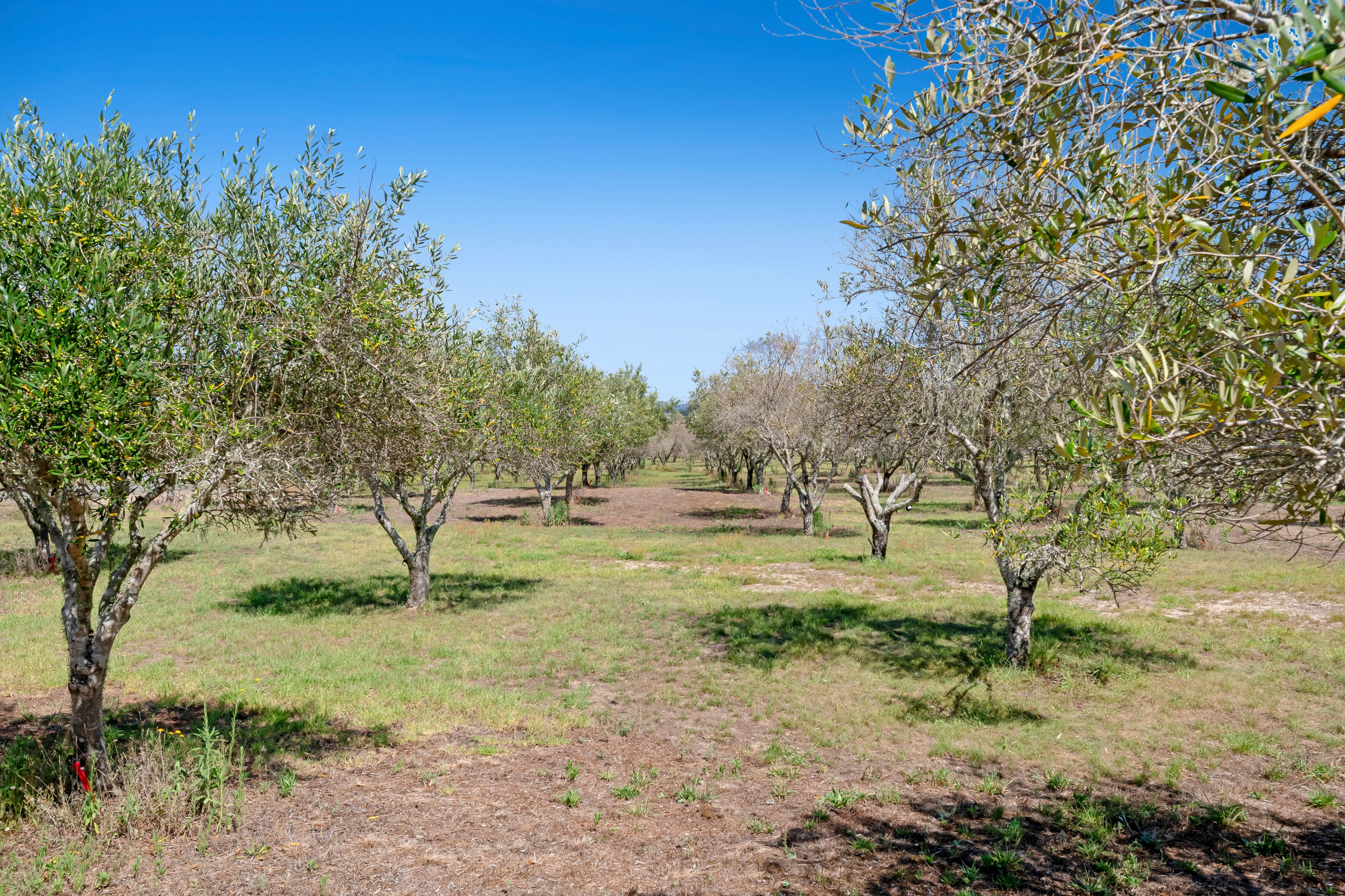 151 Tern Point, Mangawhai, Kaipara District 0505 Sold House Ray