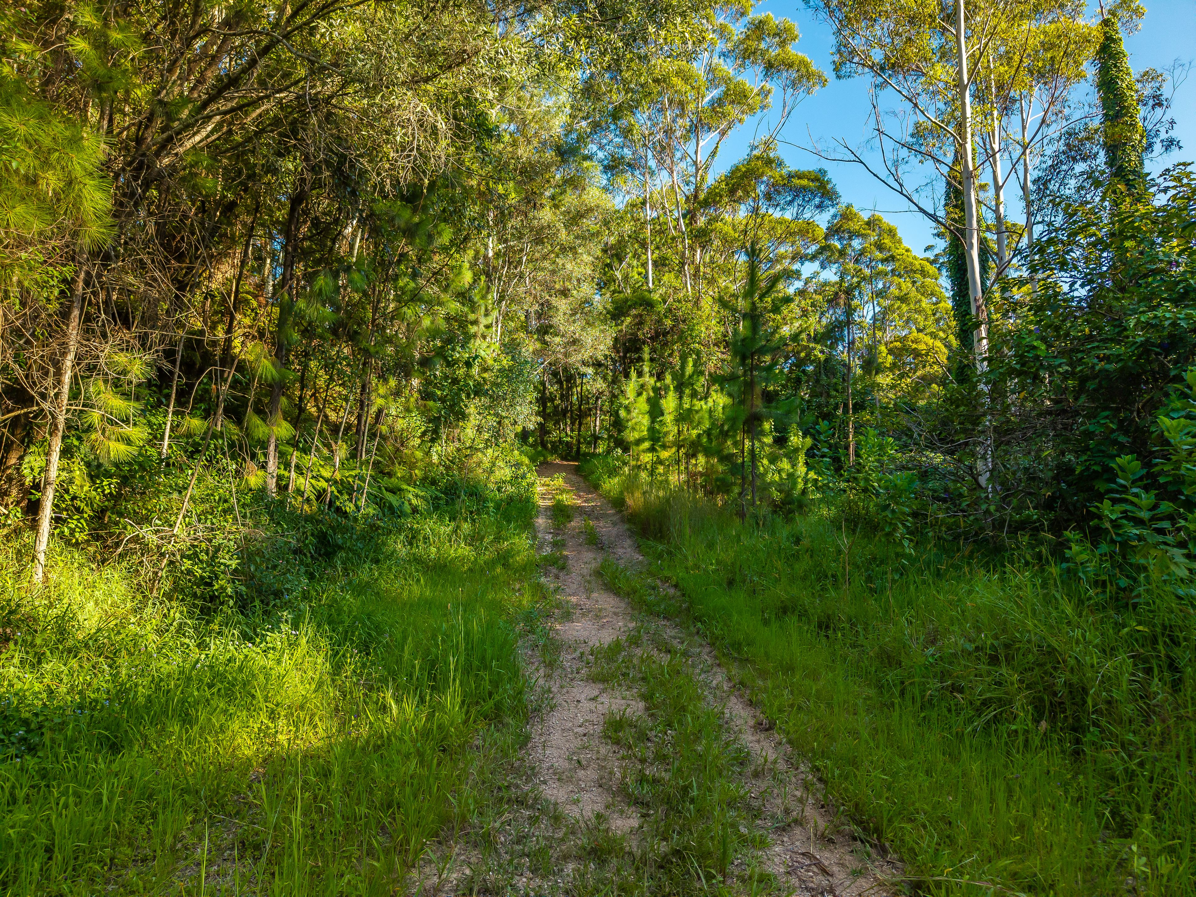 98-196 Guanaba Road — photo 8 of 26