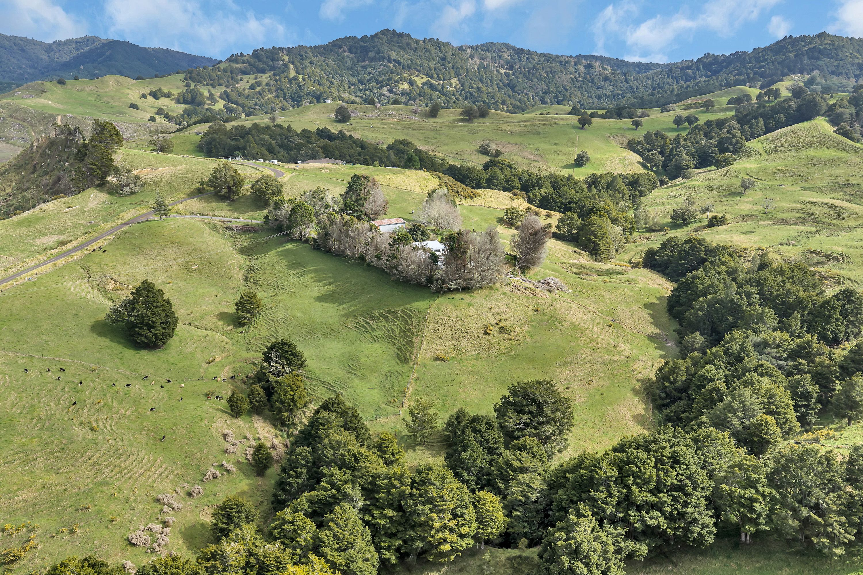 565 Riponui Road, Purua, Whangarei District