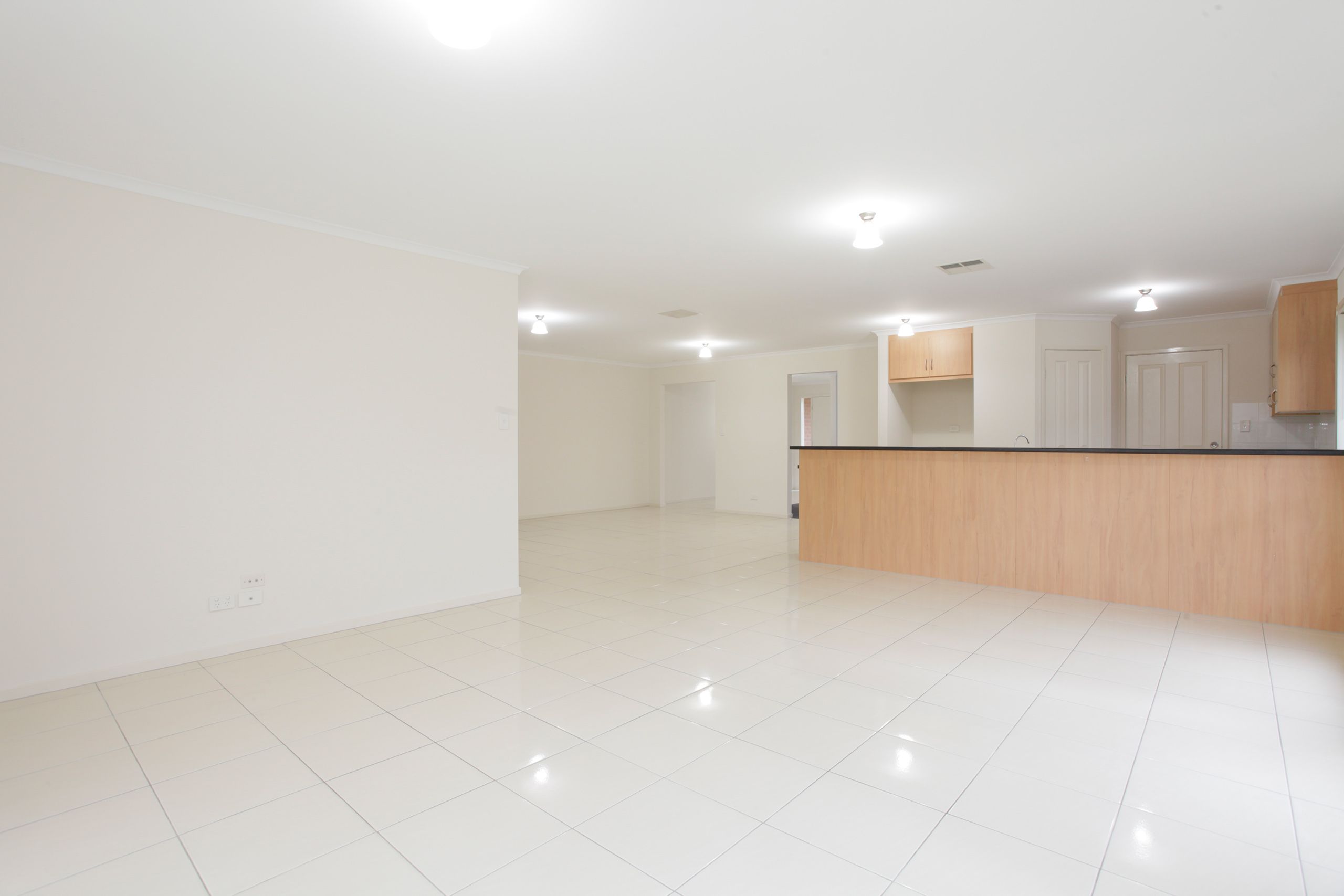 14 Oxford Drive, Andrews Farm, SA 5114