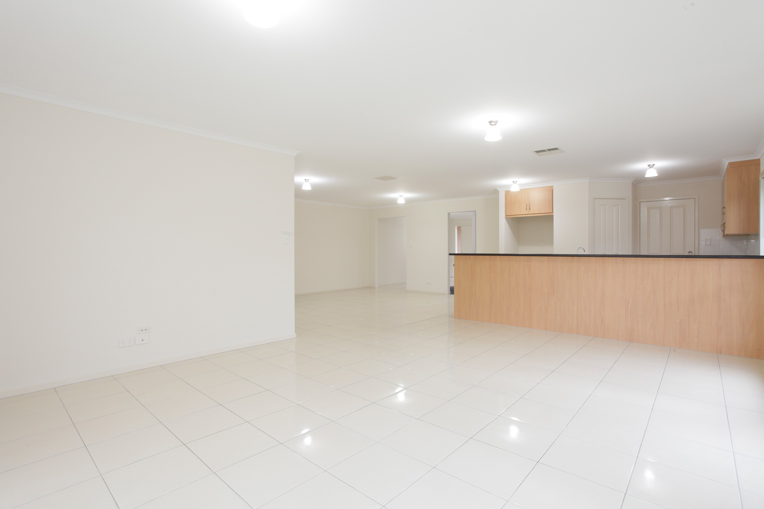 14 Oxford Drive, Andrews Farm, SA 5114