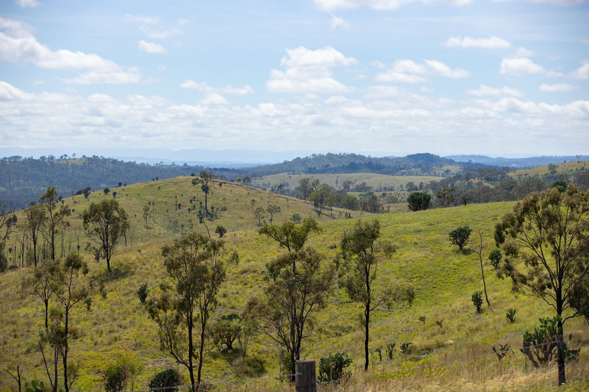 'Hutton' 295 Schnitzerling Road, Thane, QLD 4370