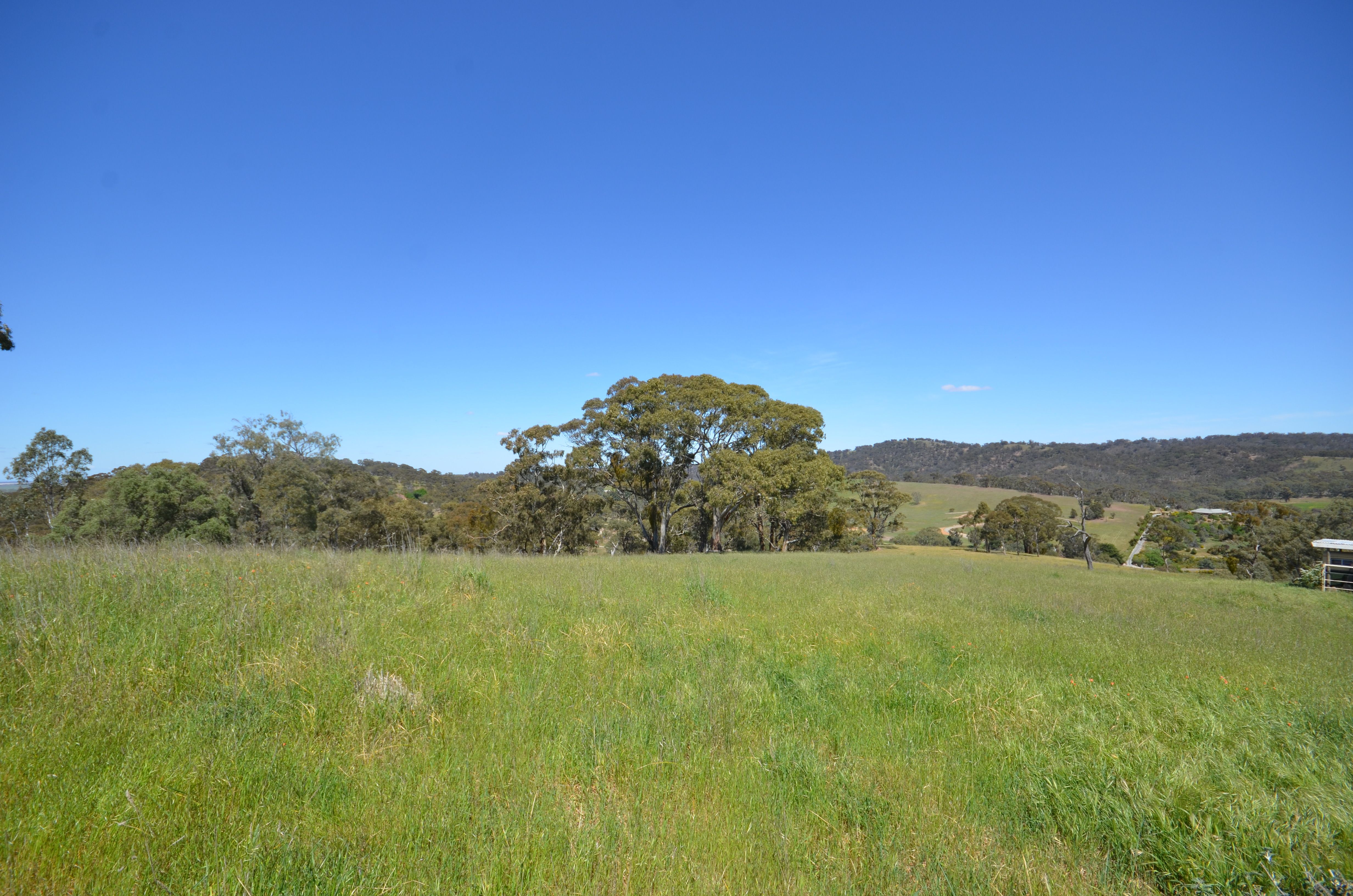 Lot 9 Harrold Road, Penwortham, SA 5453