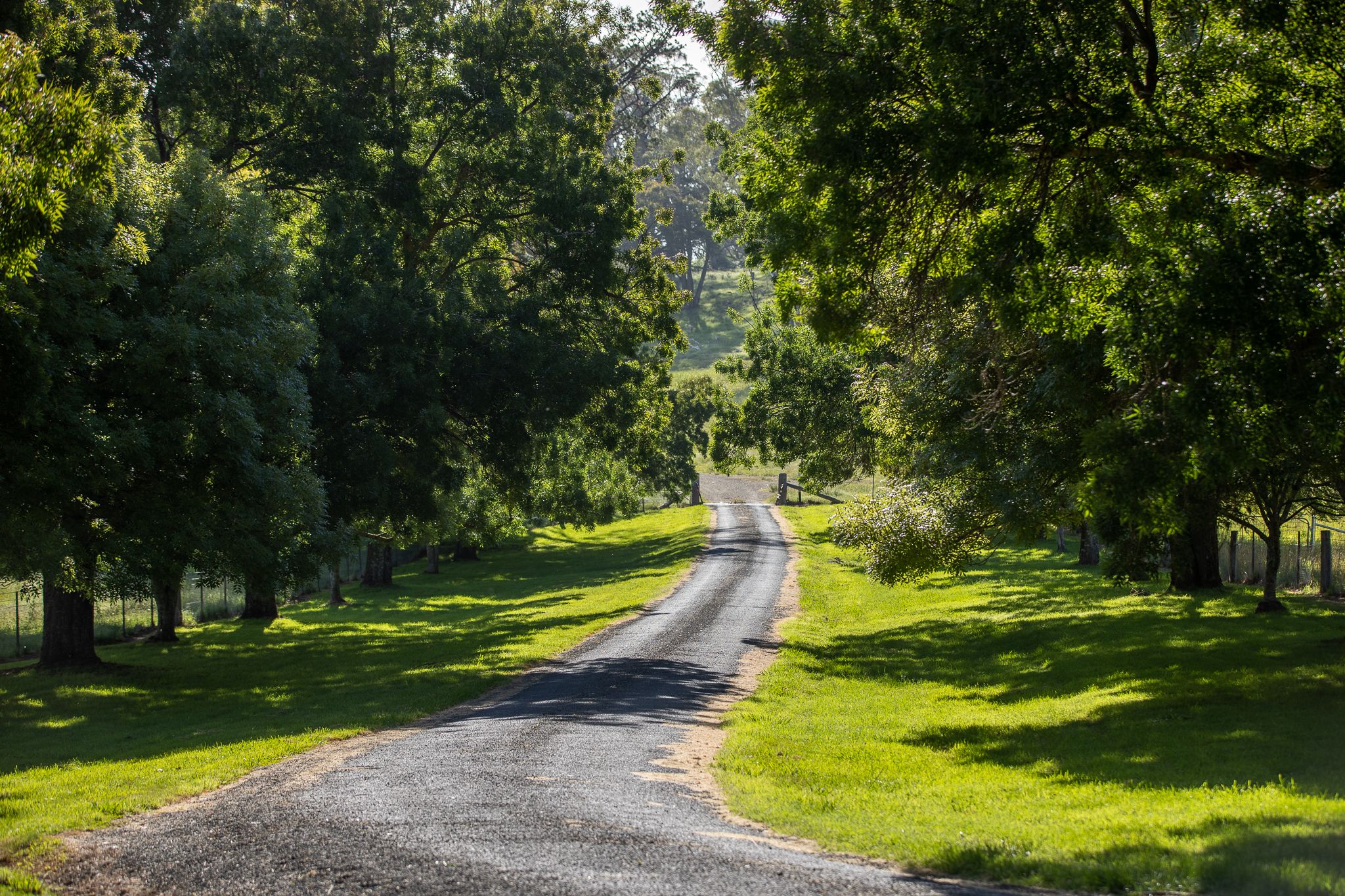 196 Toms Gully Road, Black Mountain, NSW 2365