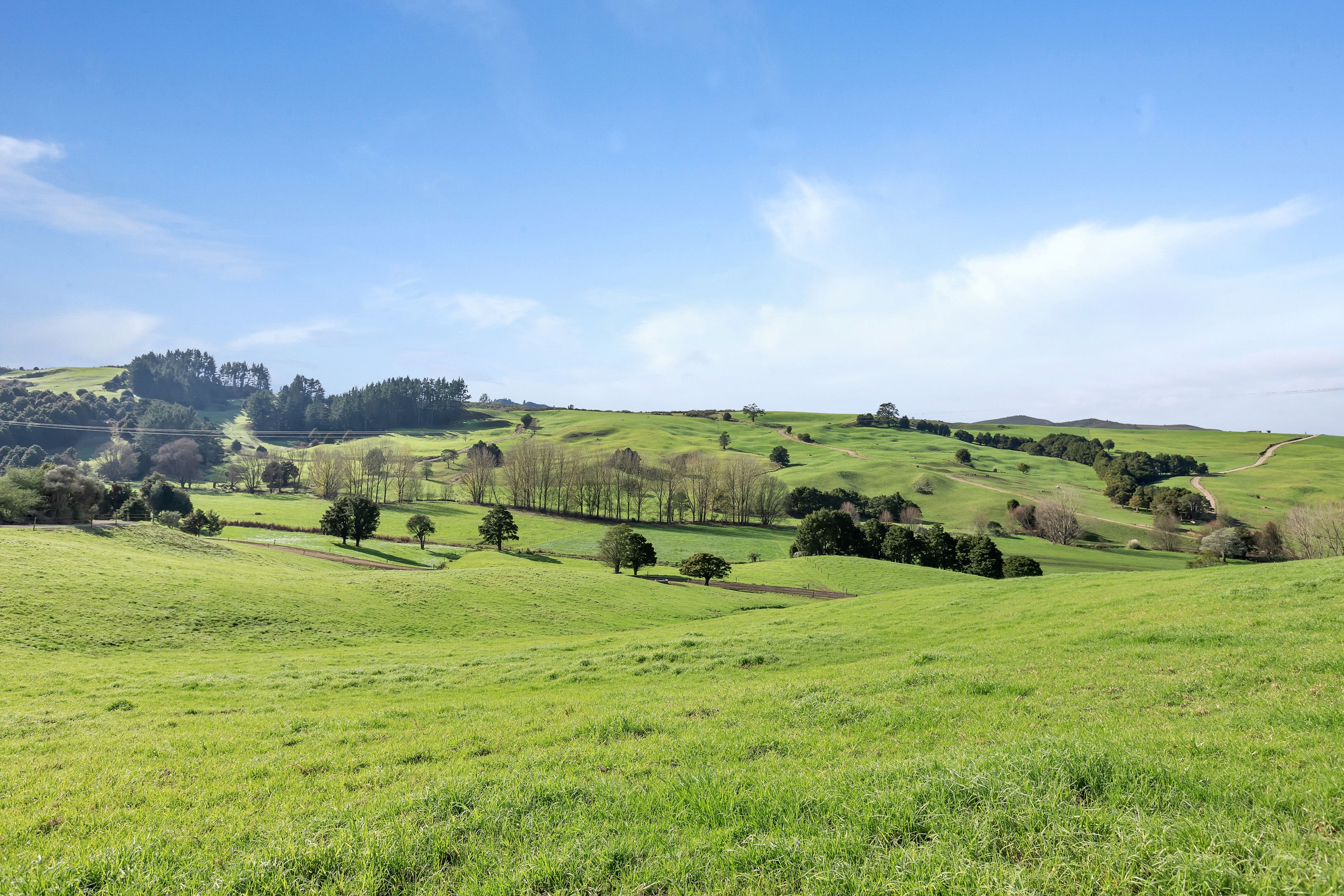 202 Drinnon Road, Parakao, Whangarei District