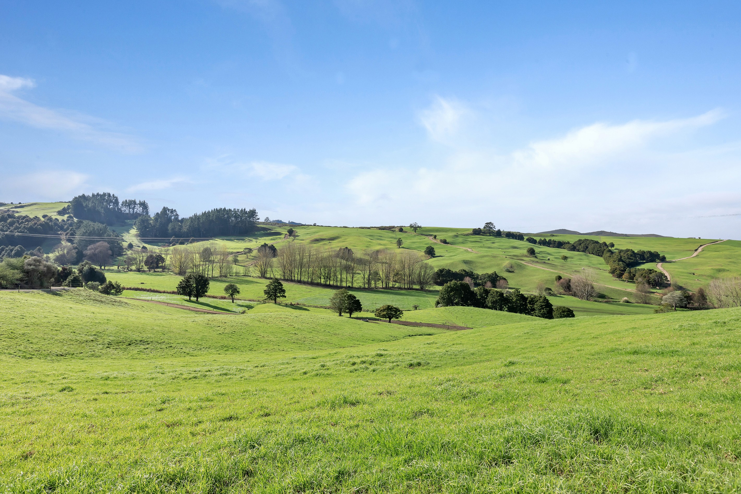 202 Drinnon Road, Parakao, Whangarei District