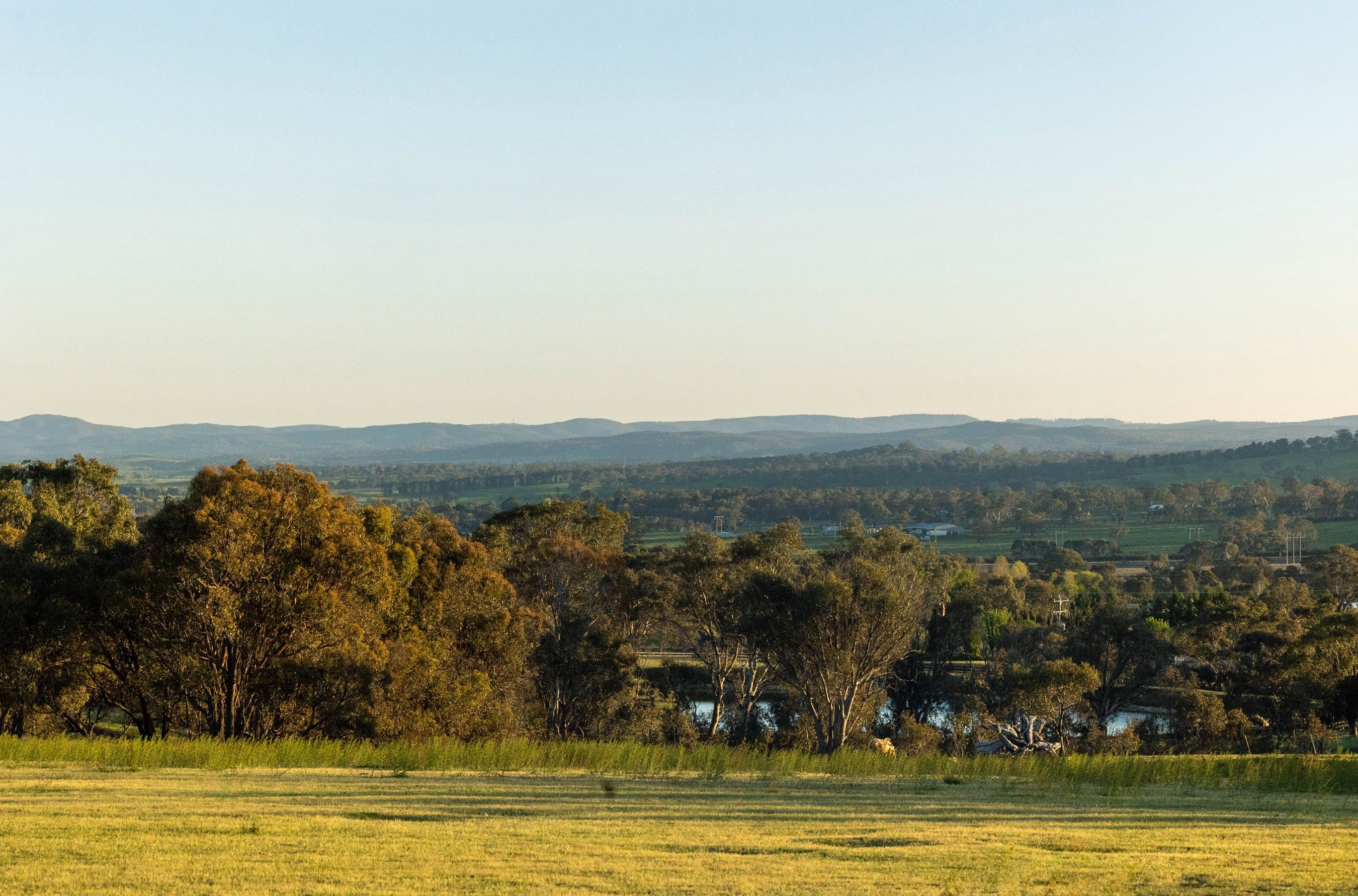 204 Goolabri Drive, Sutton, NSW 2620