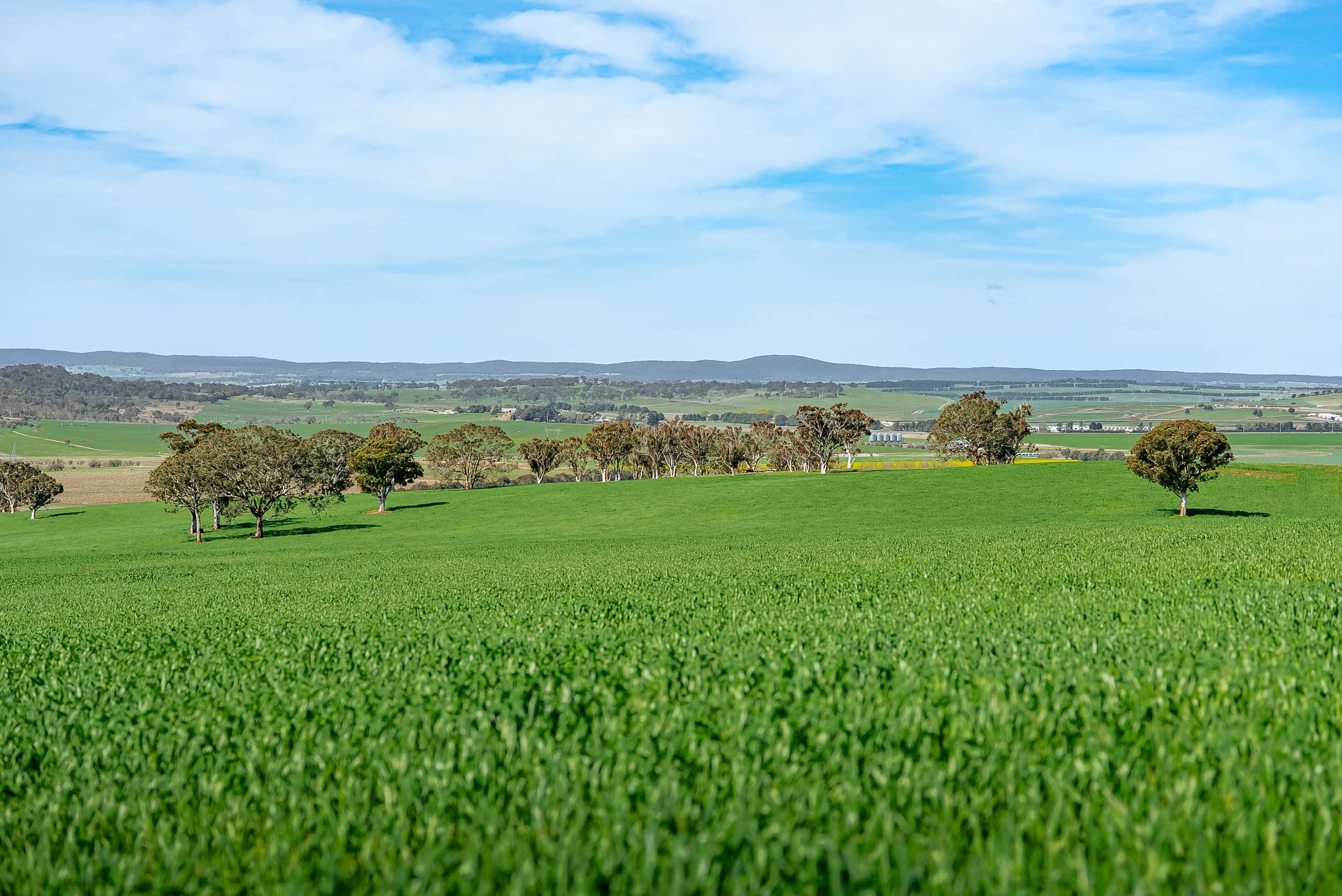 276 Currawang Road, Goulburn, NSW 2580