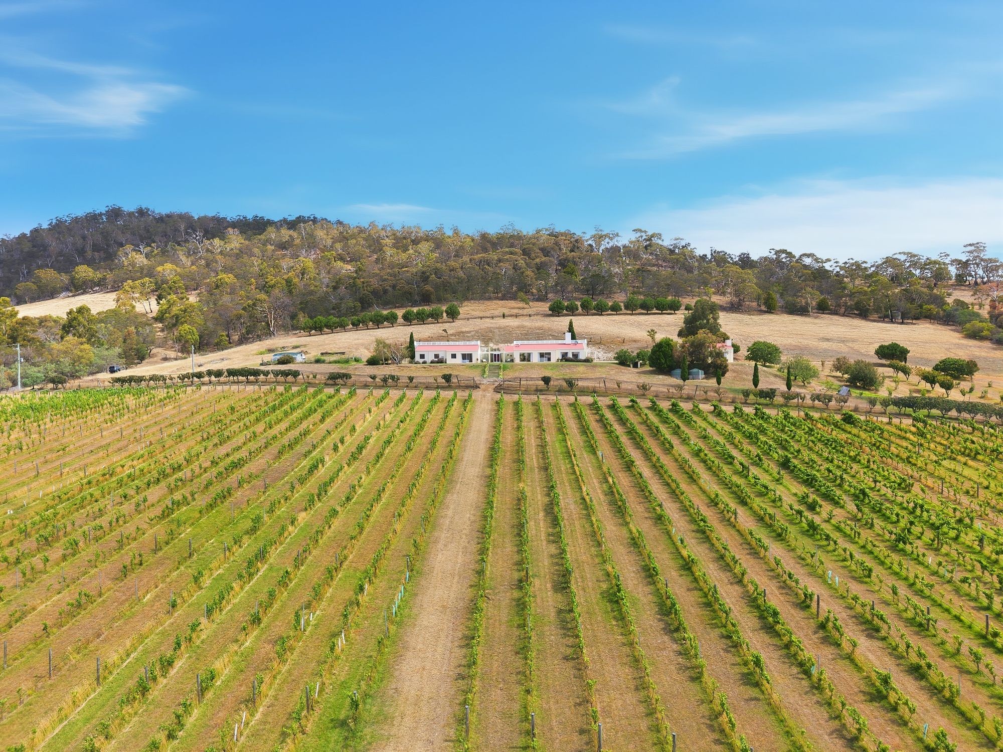 324 Richmond Road, Cambridge, TAS 7170