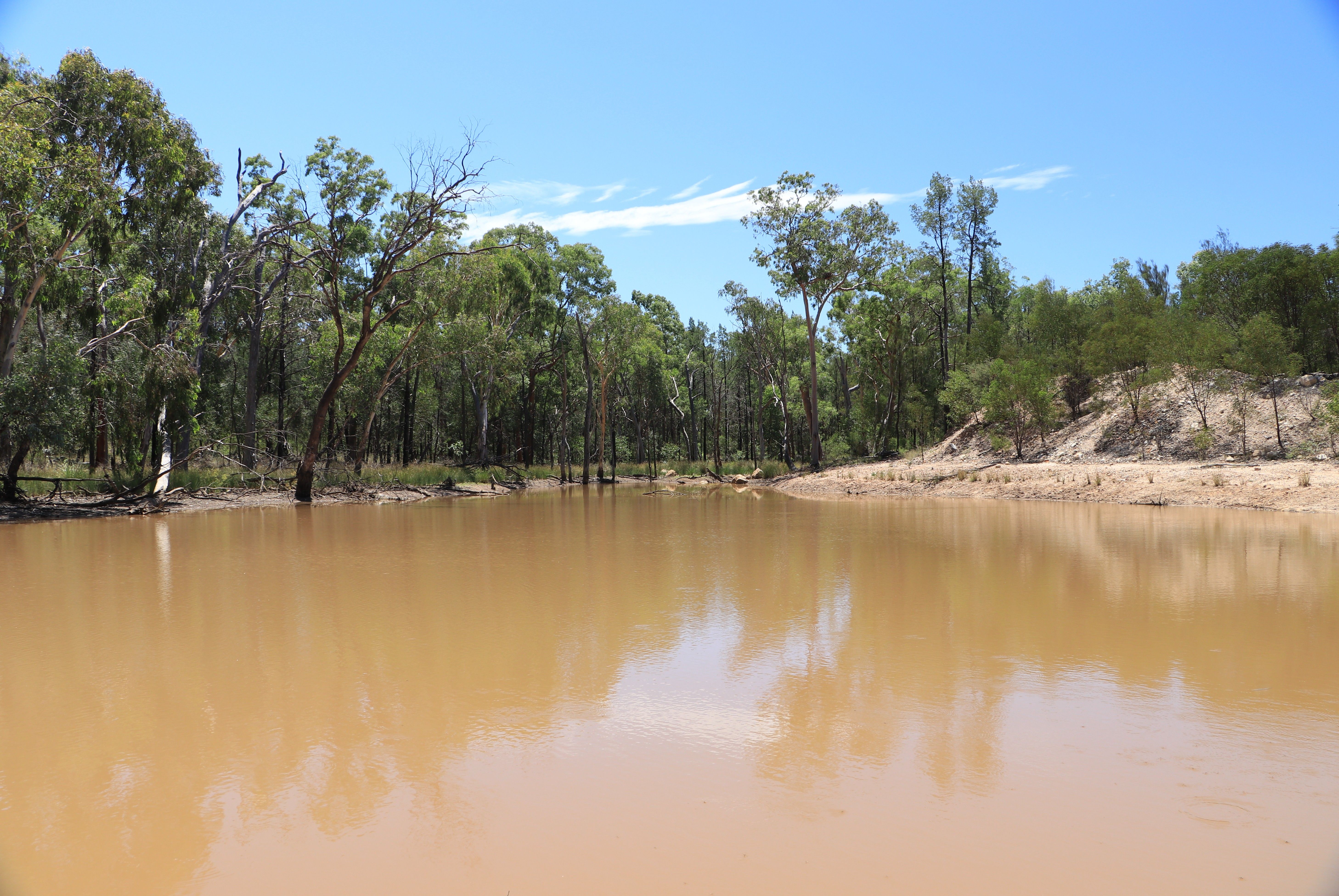 555 Yuleba Surat Road, Yuleba, QLD 4427