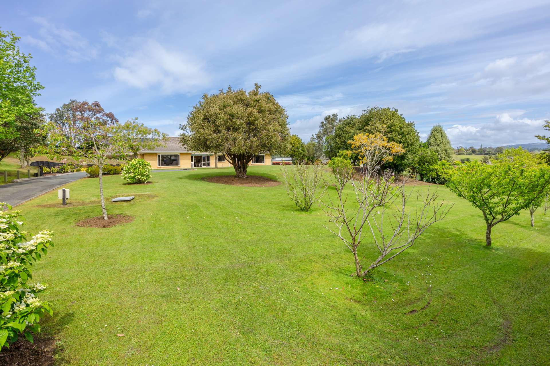 65 Blue Gum Drive photo 44