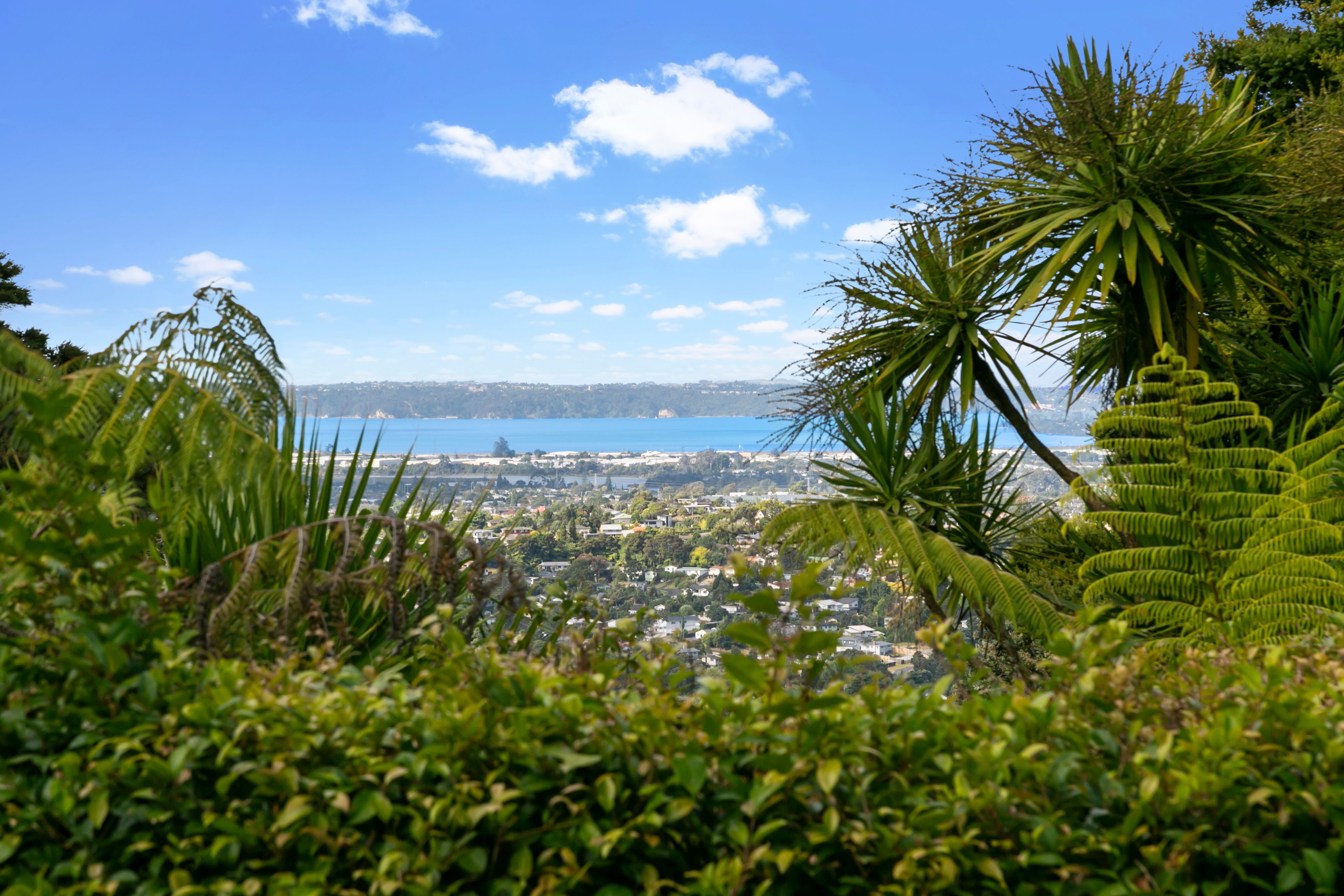 6 Westridge Road, Titirangi, Waitakere City