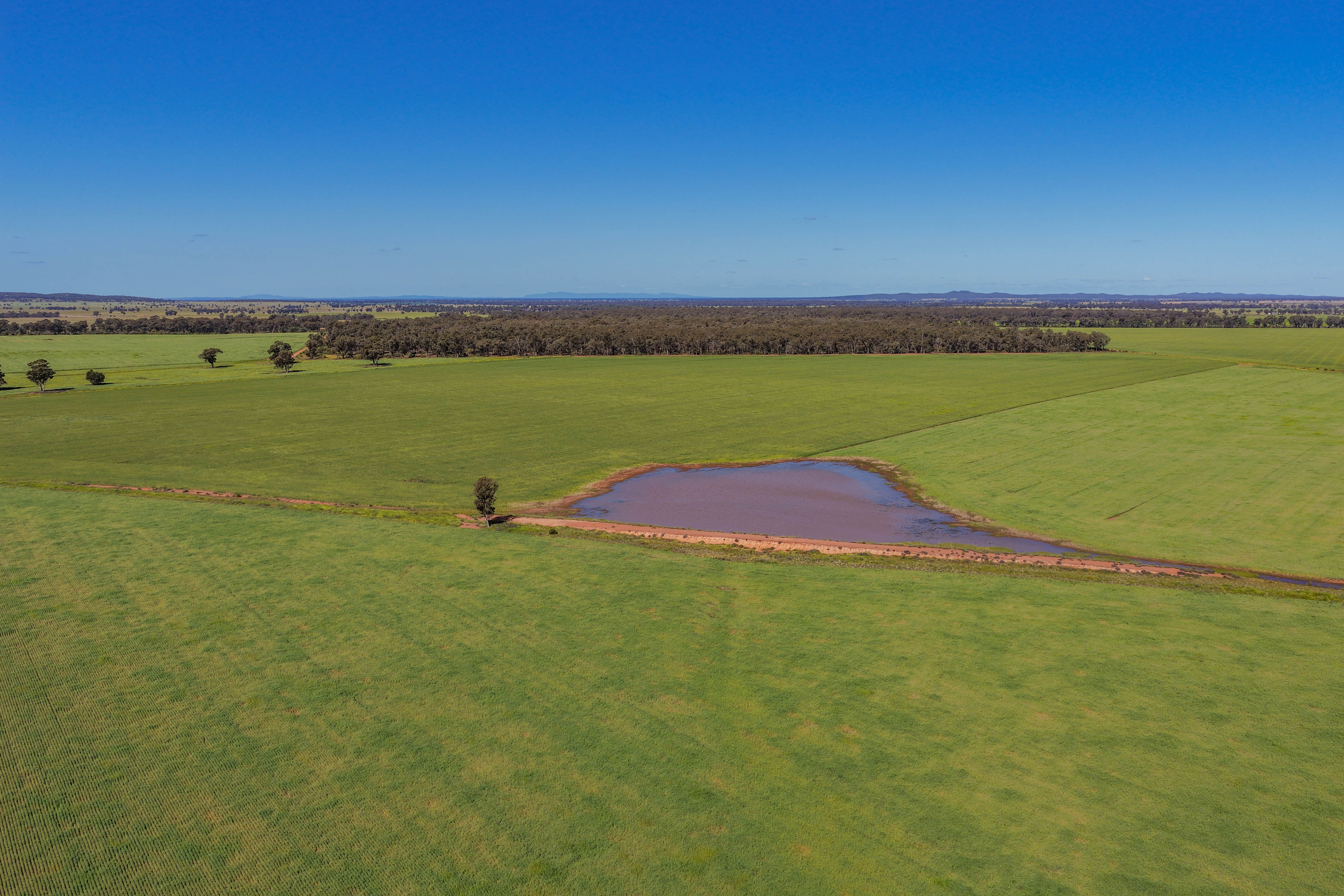 1593 Wamboyne Road, West Wyalong, NSW 2671