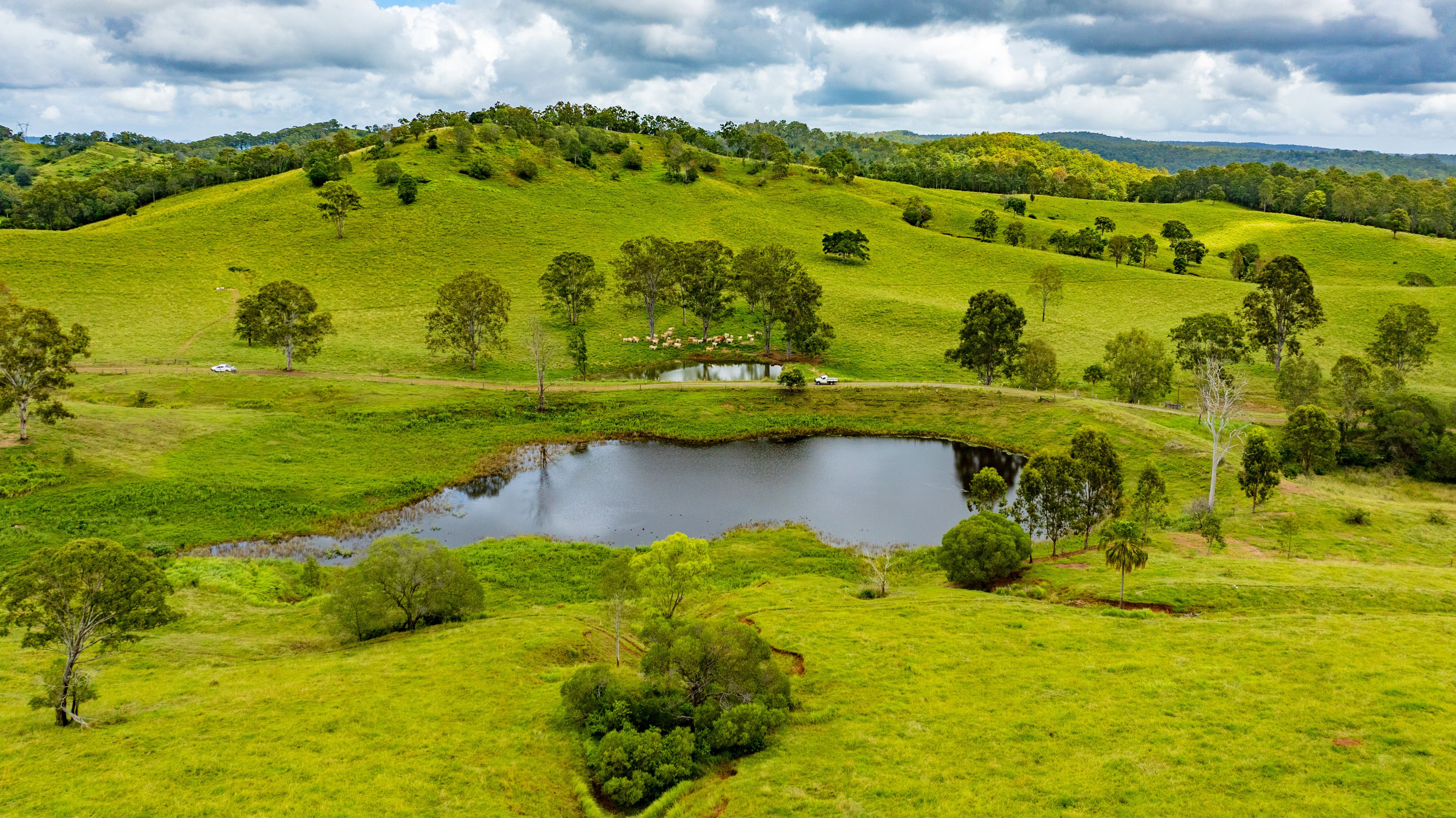 547 Rocks Road, Pie Creek, QLD 4570 Rural Property for Sale Ray White Pomona Hinterland