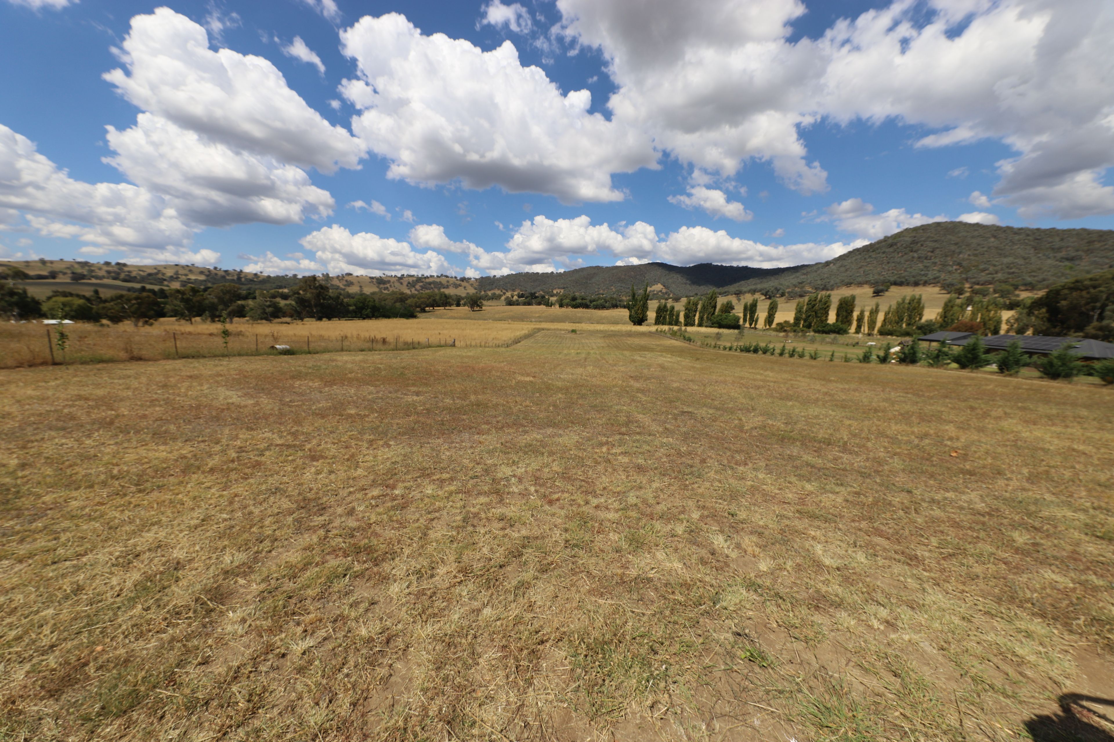 Lot 50 Selwyn Street, Adelong, NSW 2729 Sold Land Ray White Tumut