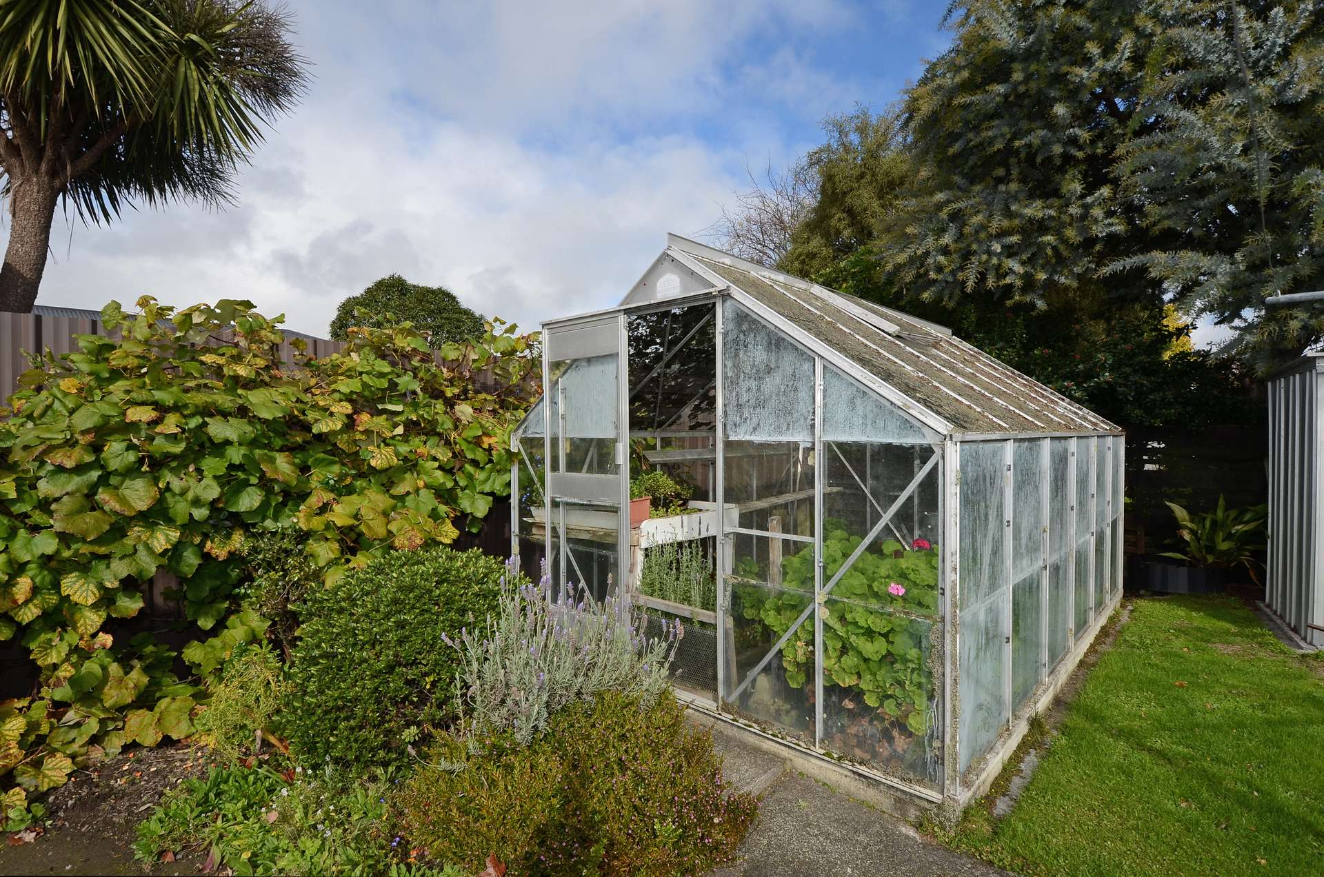 17 Kiwi Street photo 17