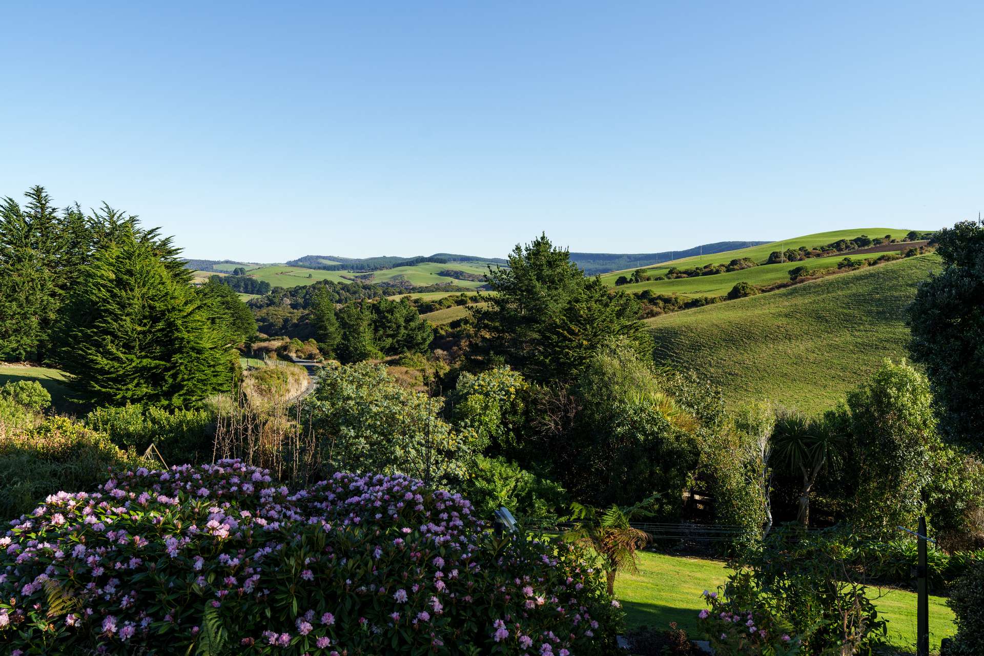 739 Purakaunui Falls Road photo 33