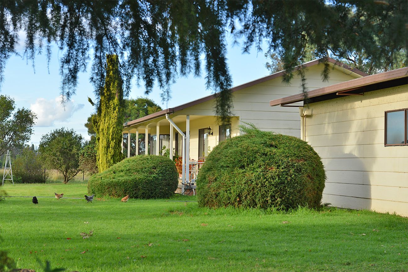 4704 Kintyre MENDOORAN Road, Coonabarabran, NSW 2357 Sold Rural