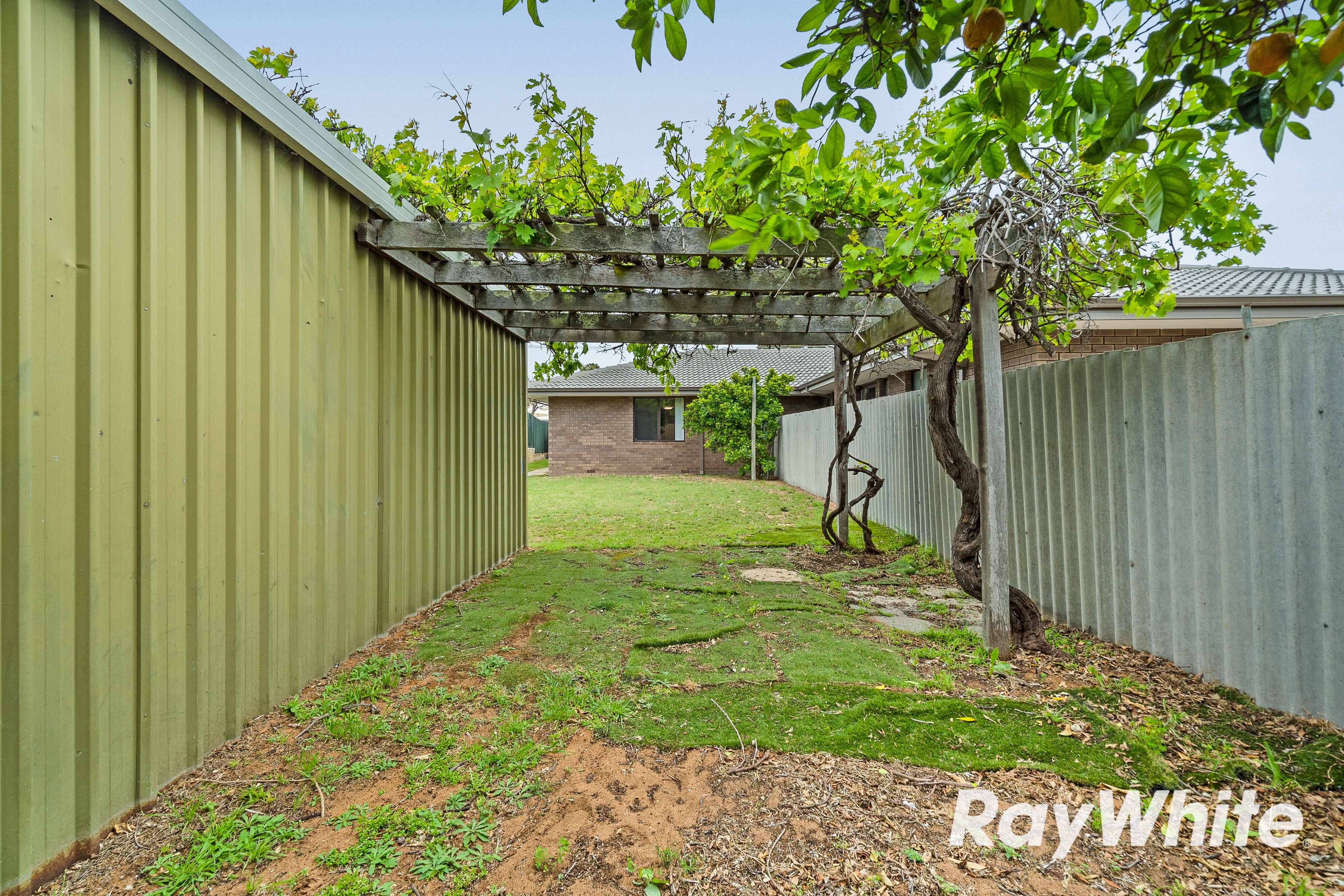 8A Cathryn Street — photo 14 of 23